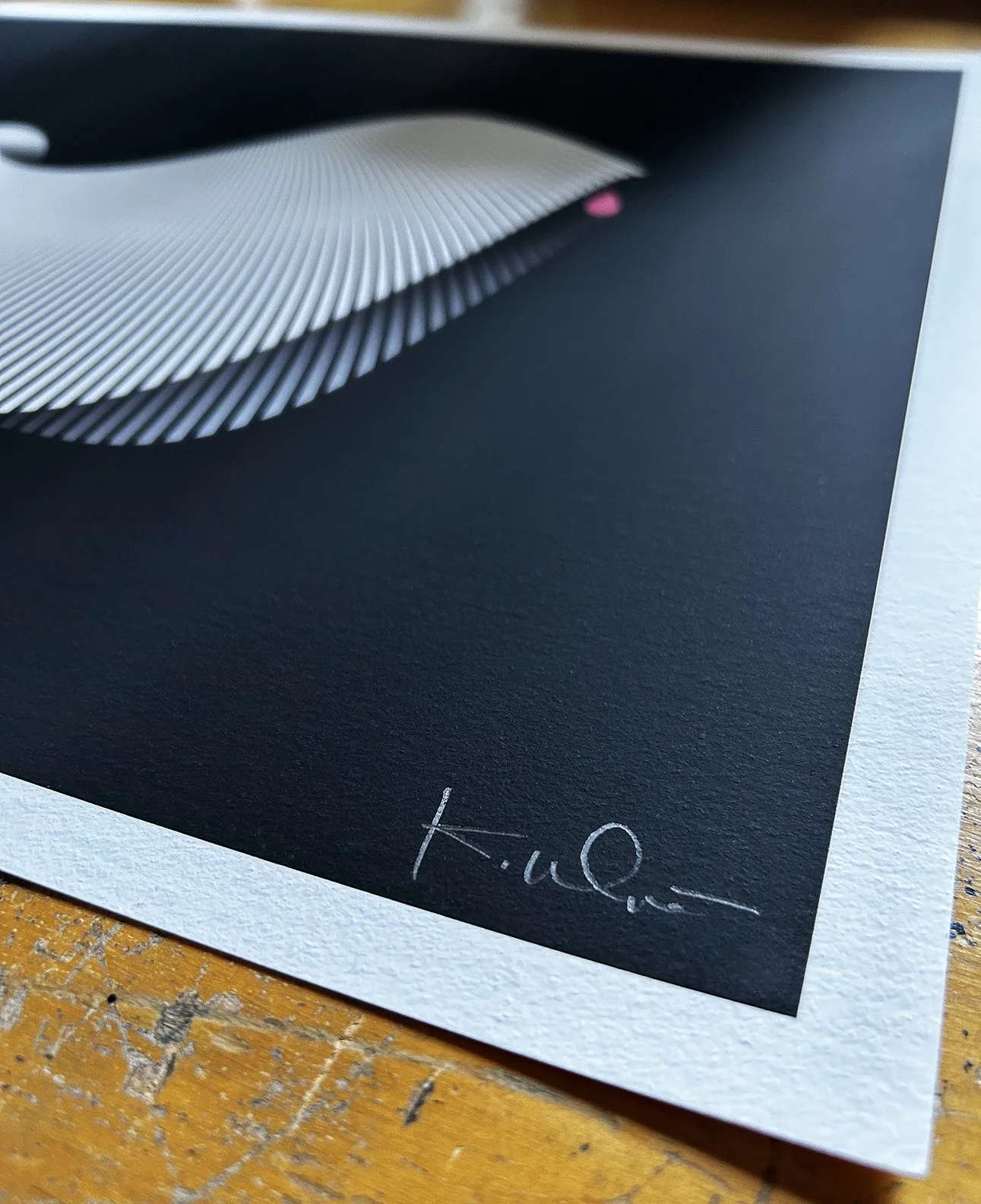 Puli Signature.jpgSigned corner of Puli (Best in Show) archival art print by Kirsten Ulve on textured Hahnemühle paper.