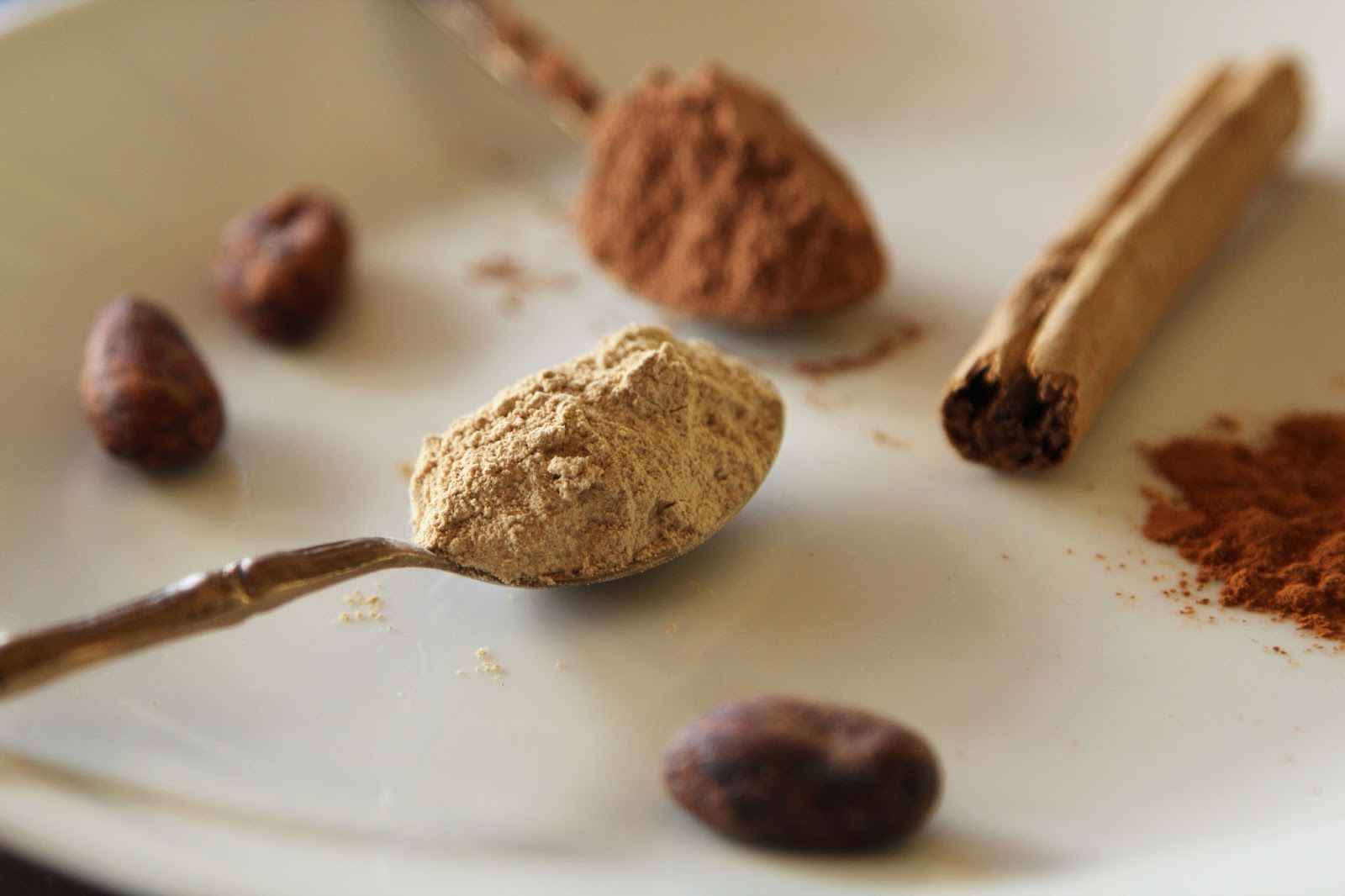 Maca, Cacao and Cinnamon are a GREAT combination!