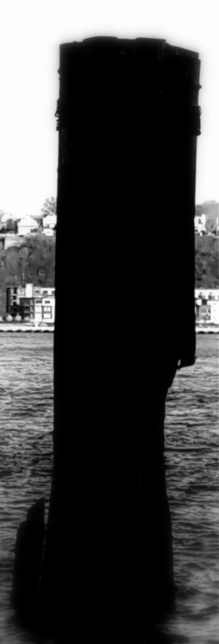 Contributions #3