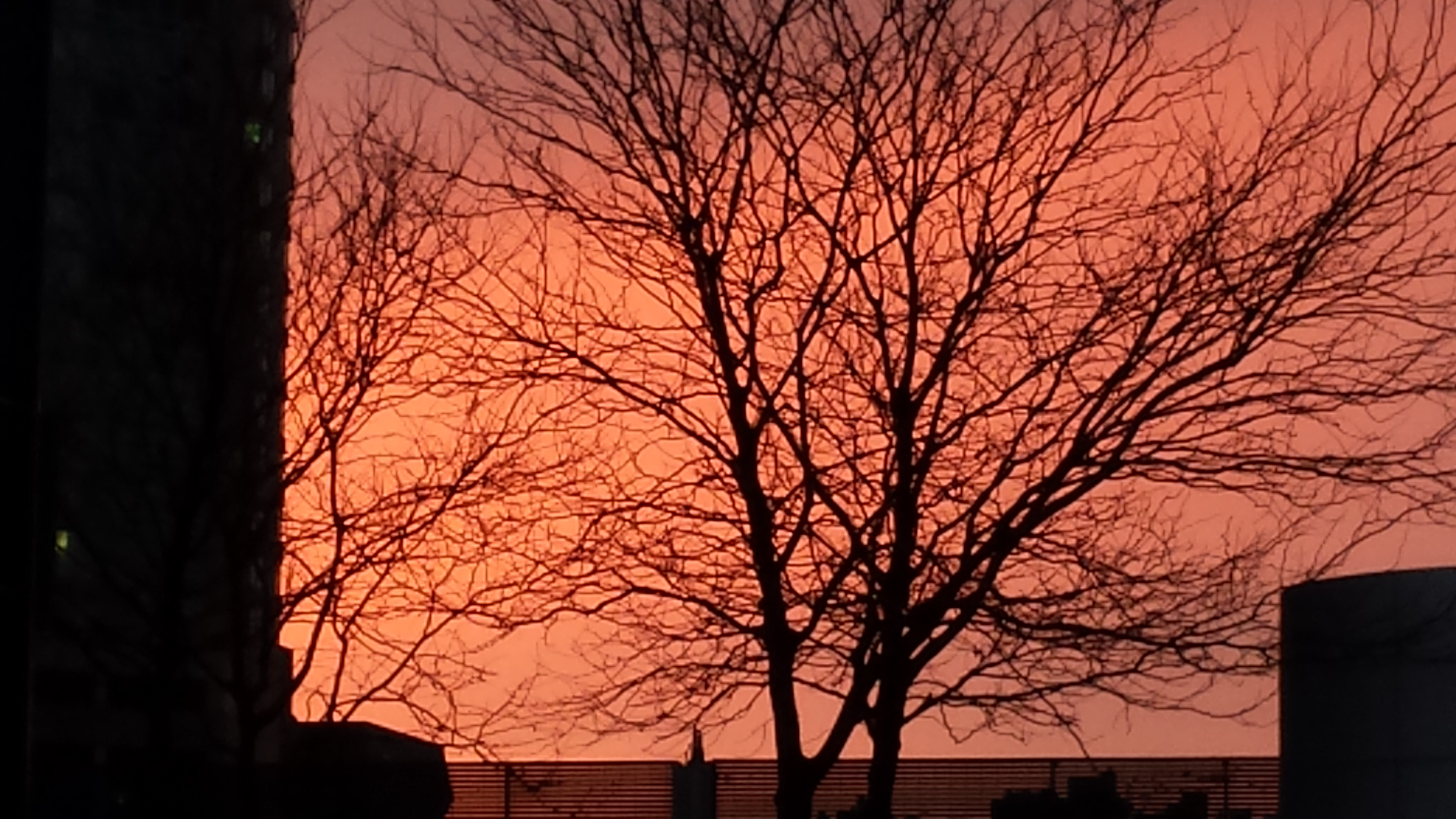 Burning Sun