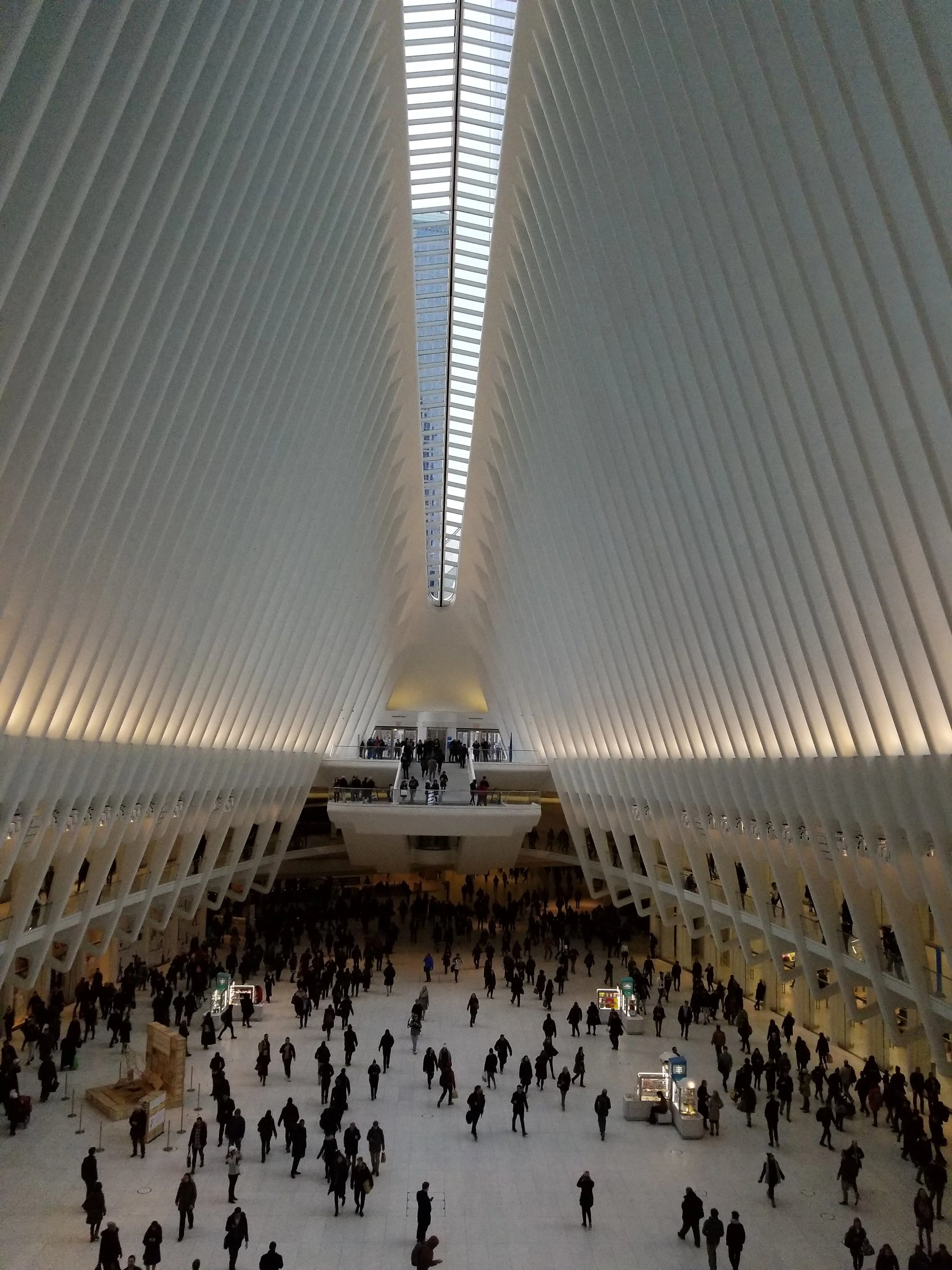 20180314_172937 (3).jpg