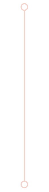 Transitional Graphic - Long Pink.png