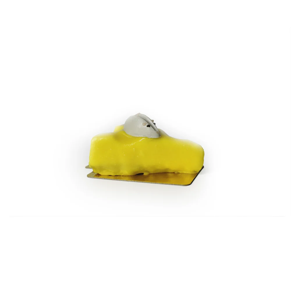 daan go - cheddar - alt.jpg