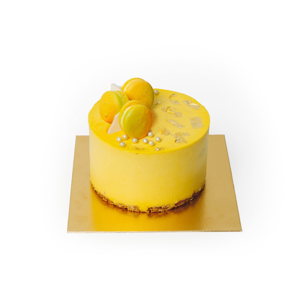 daan go - mango.jpg