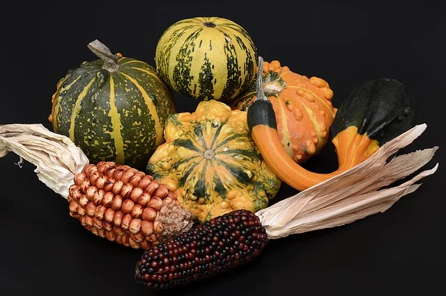 pumpkins-2790411_640.jpg