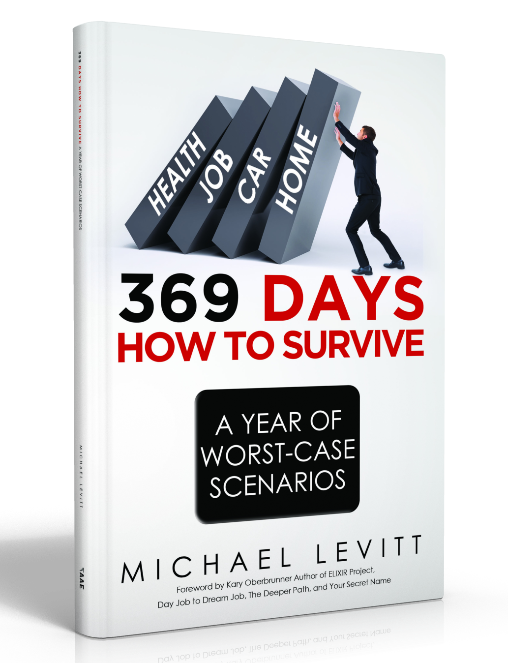 3D 369 Days Cover.png