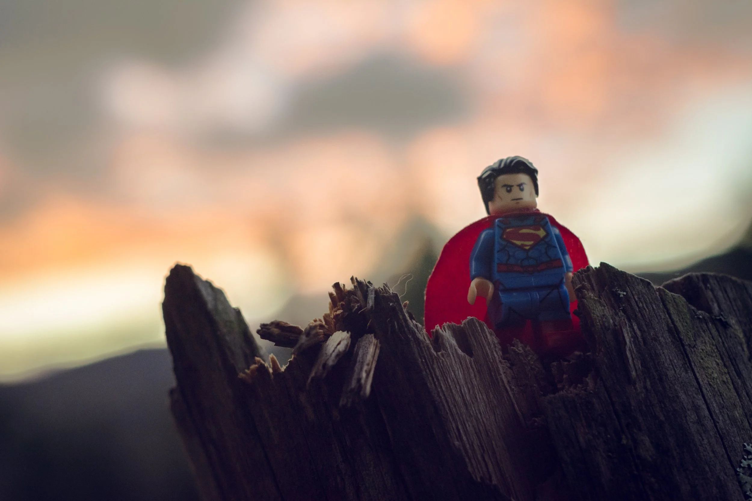 Photo by Esteban Lopez on Unsplash