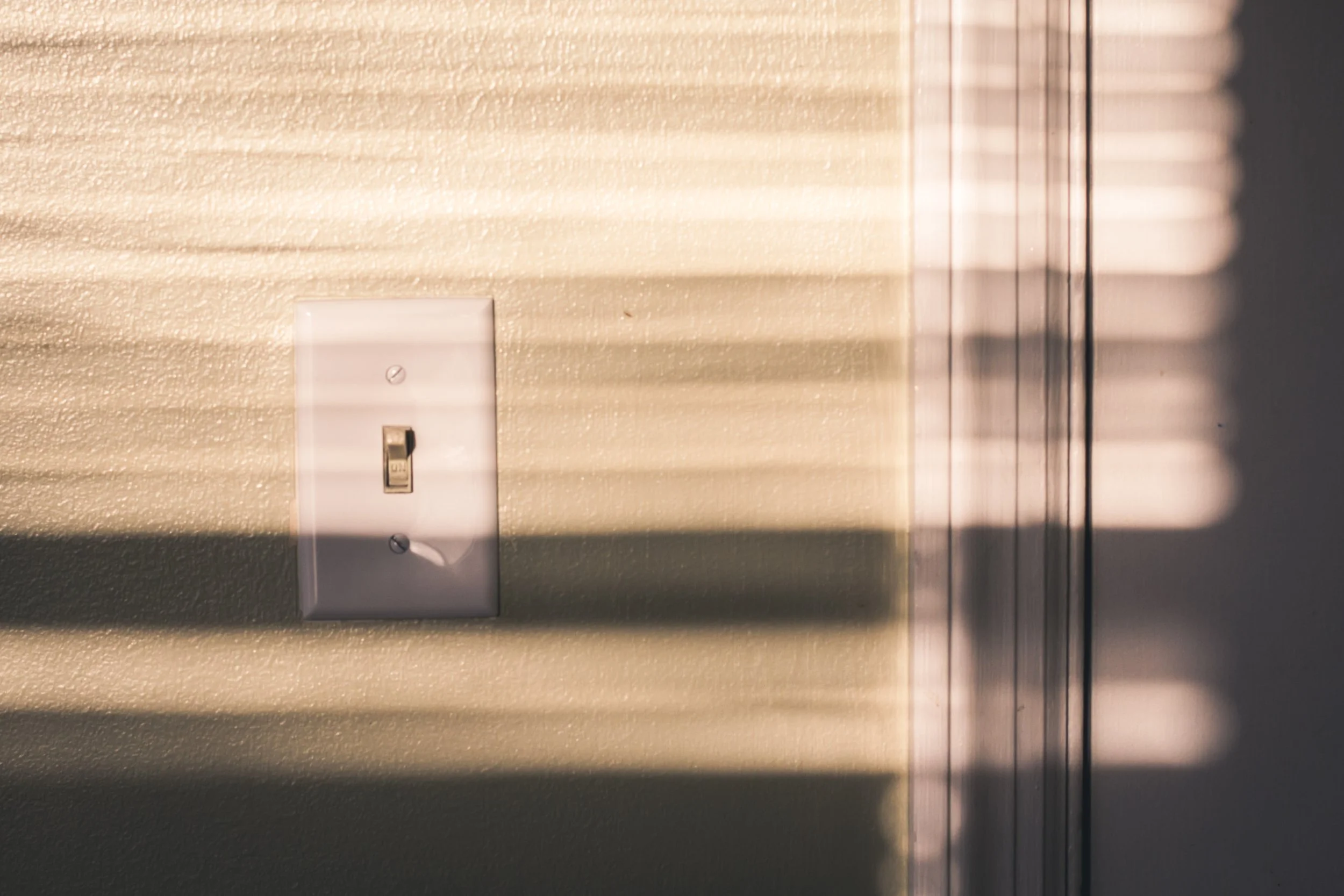 Photo by Steve Johnson on Unsplash