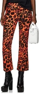 animal 2.jpg