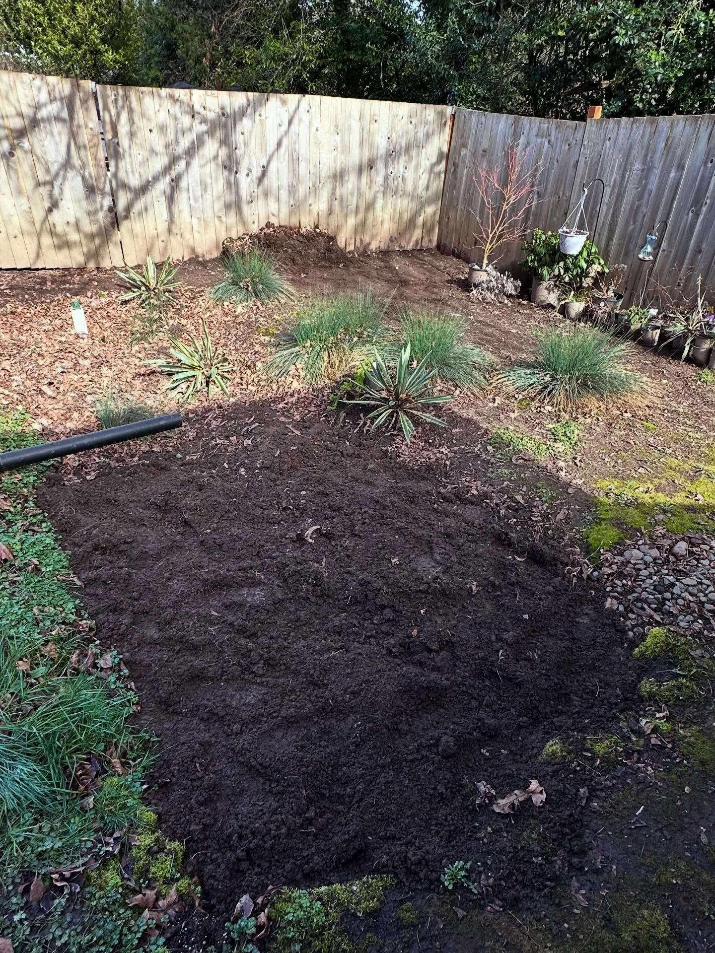 New workouts for all you dadbods out there!

Workout 1: shovel dirt into a bucket, then dump it in a ditch. Do as many reps as you have dirt (I did about a million)

Workout 2: unload landscaping materials and carry to backyard. Essentially 30 reps o