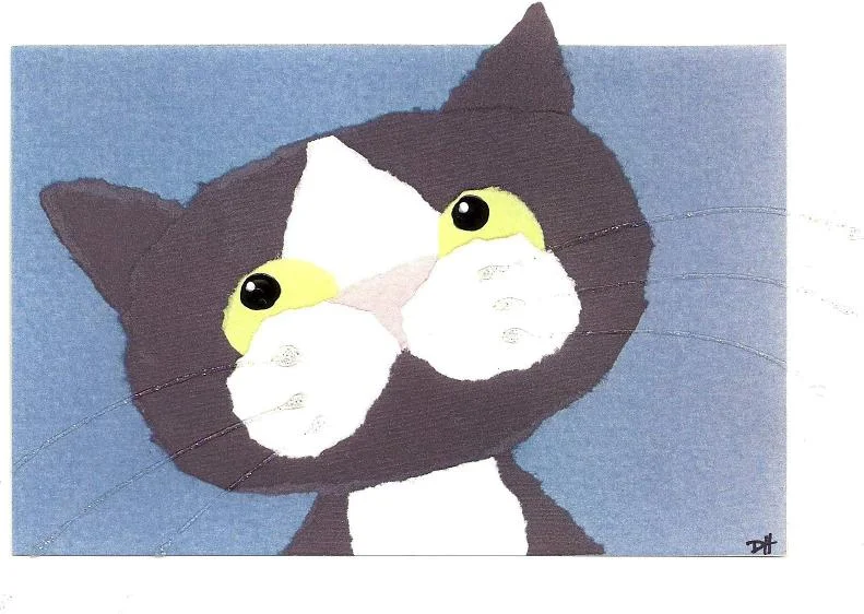 black cat.JPG