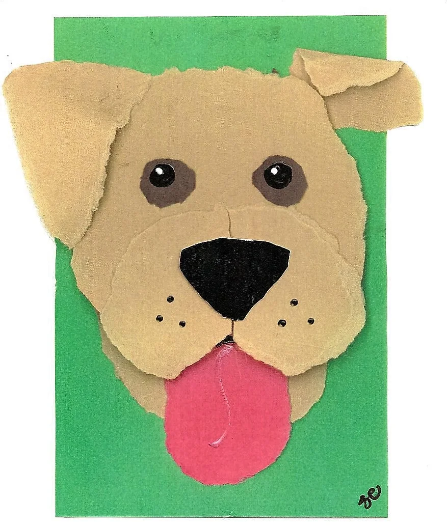 Dog Percy pit bull.jpg