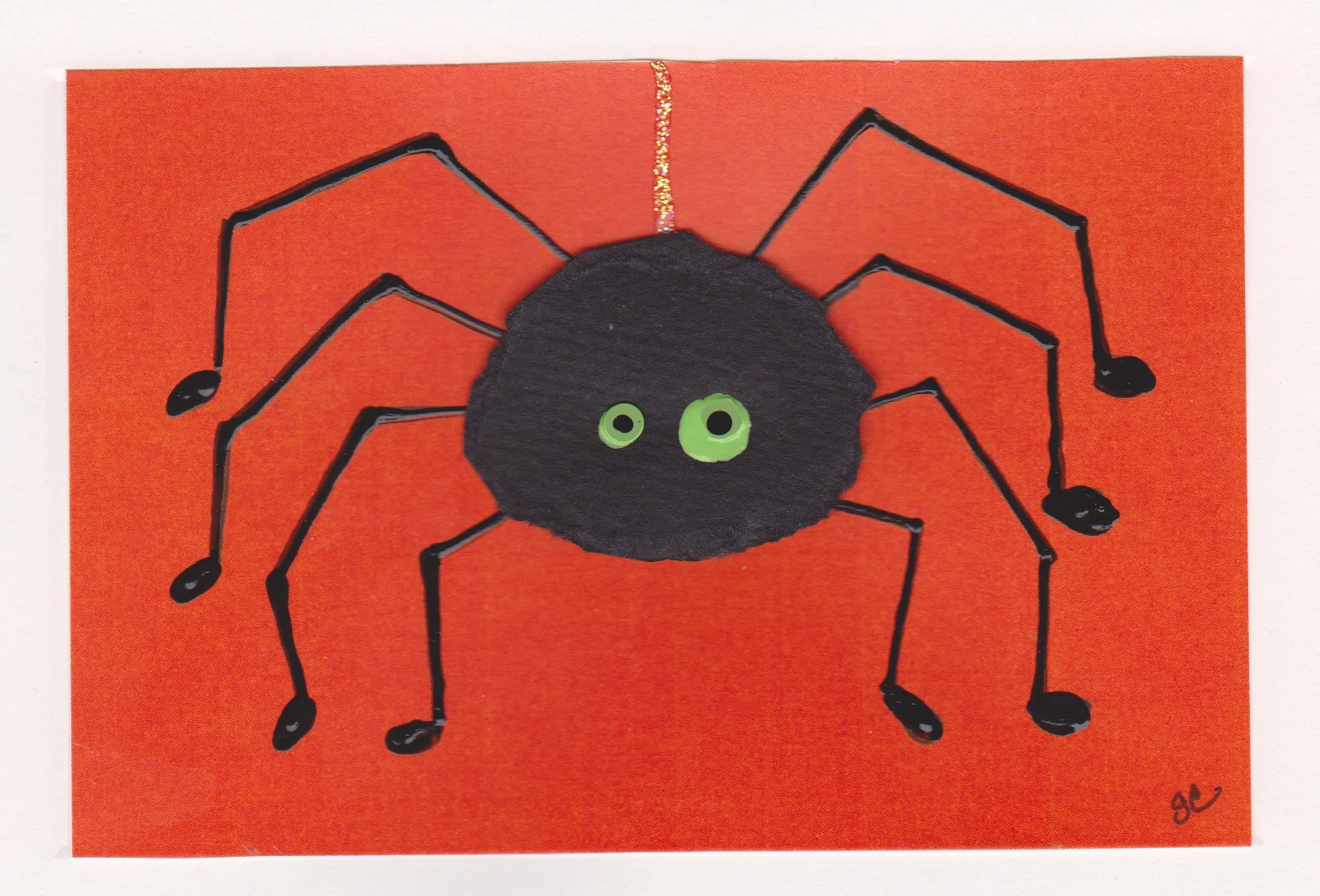 spider.jpg