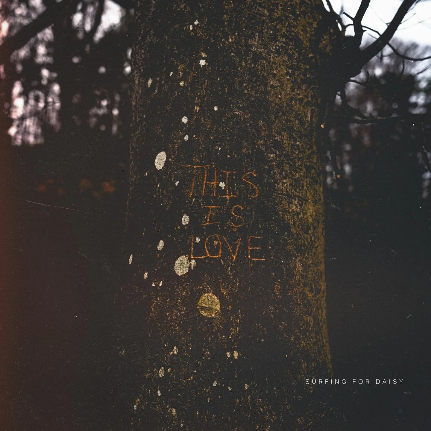 This Is Love by @surfingfordaisy is out now! 

Produced by @rob.chiarappa 
Mix/mastered Mike Chiarappa