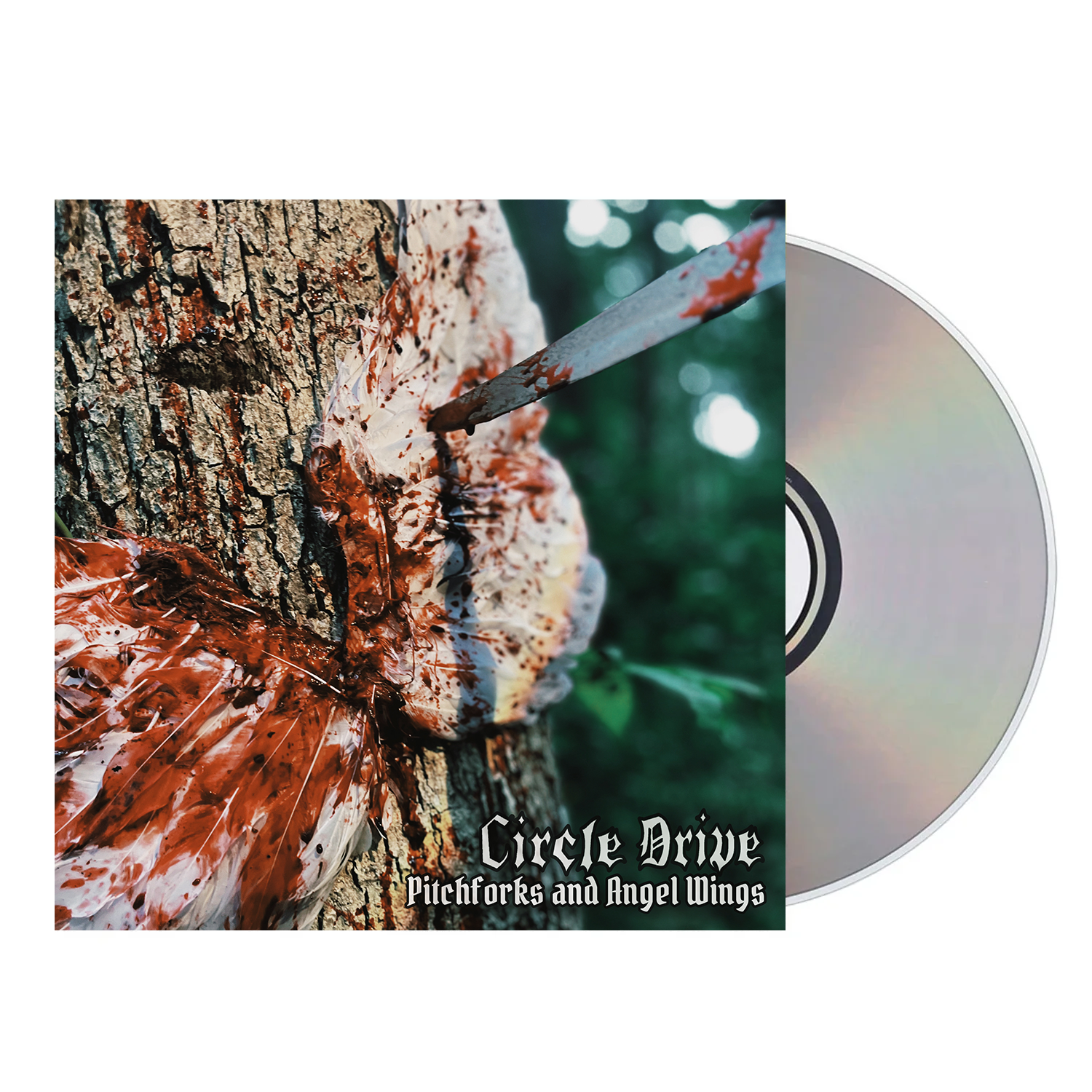 CD.png
