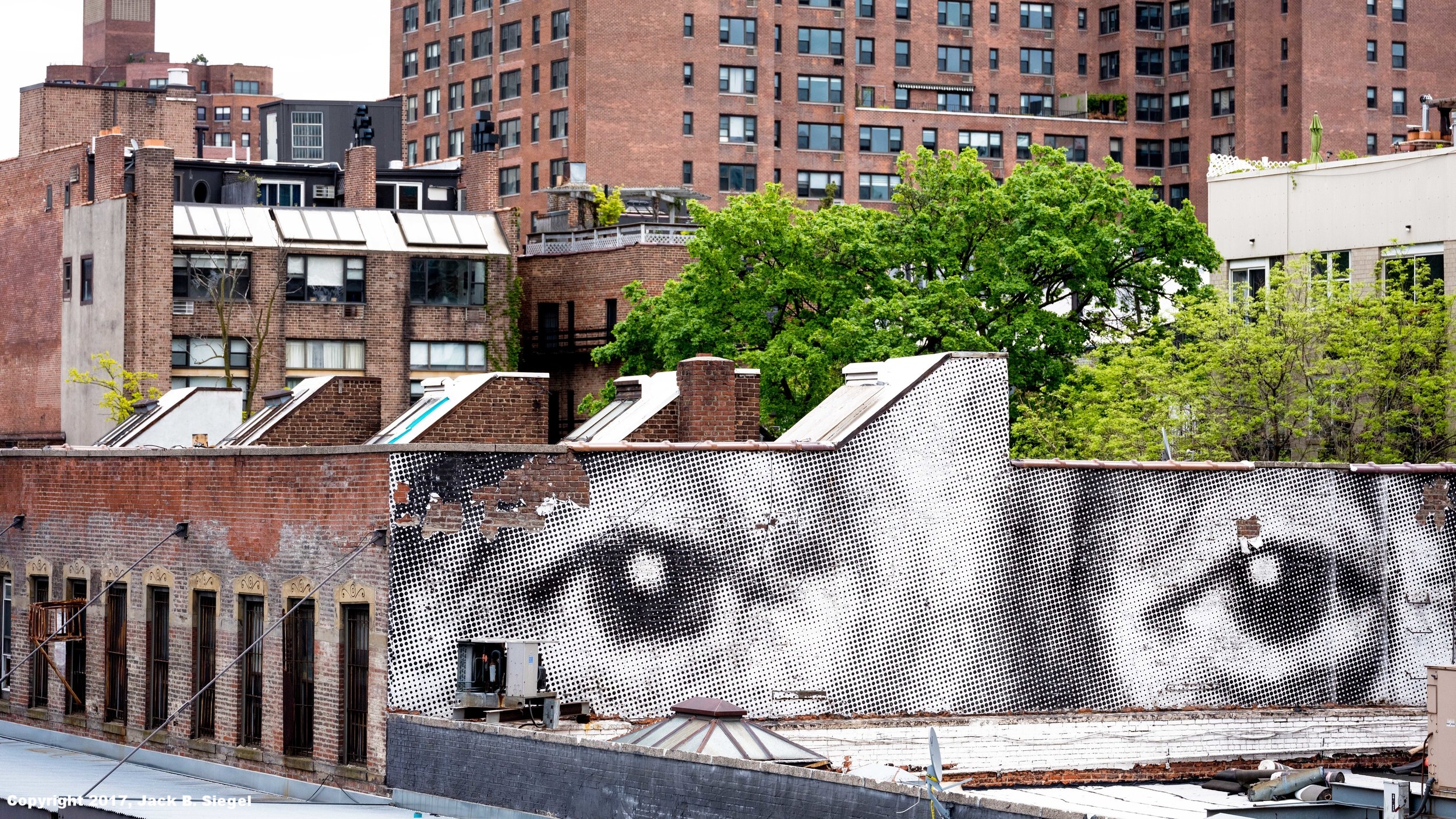 The Eyes of Doctor T. J. Eckleburg Watching the South End of the High Line