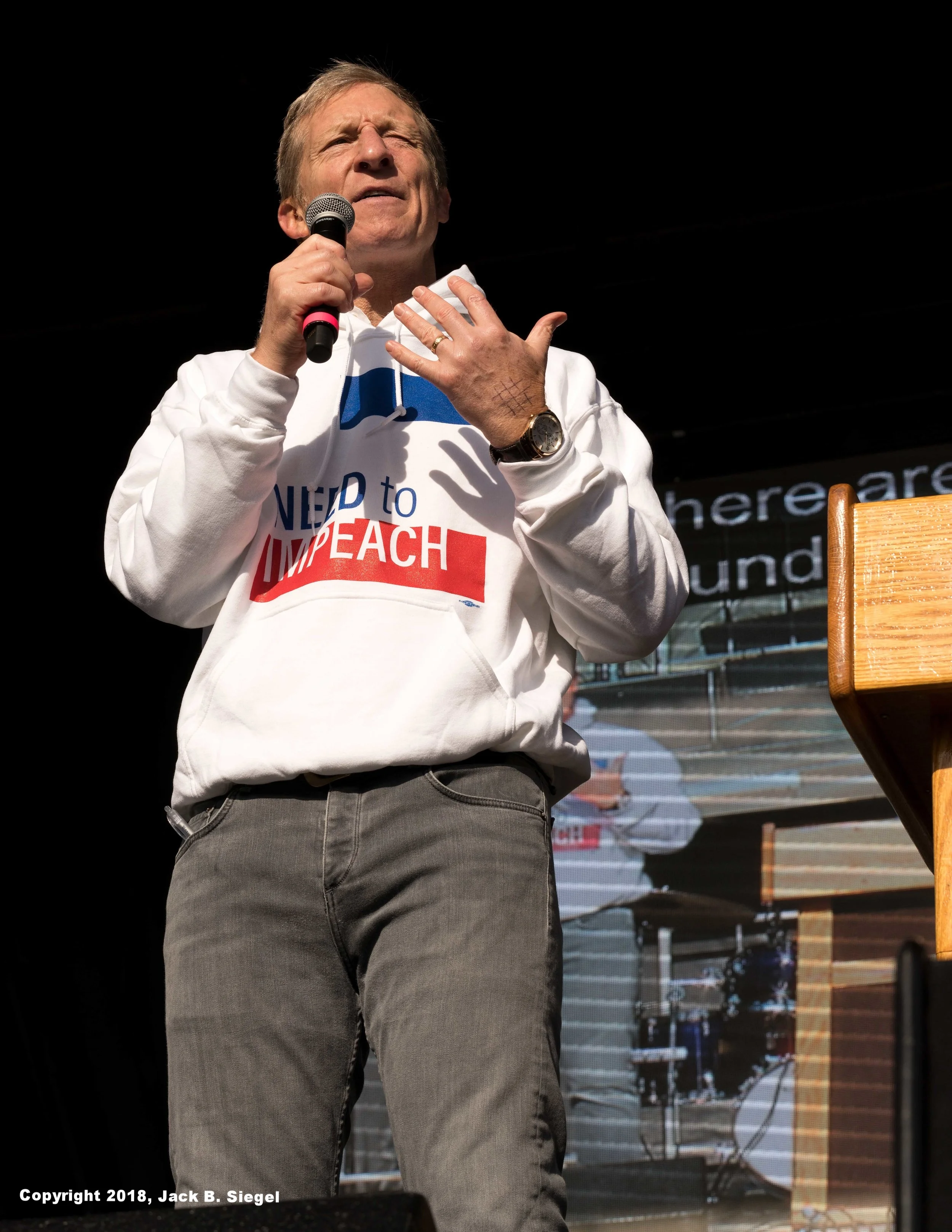_DSC6326_Copyright_sRGB_relative_Need to Impeach.jpg