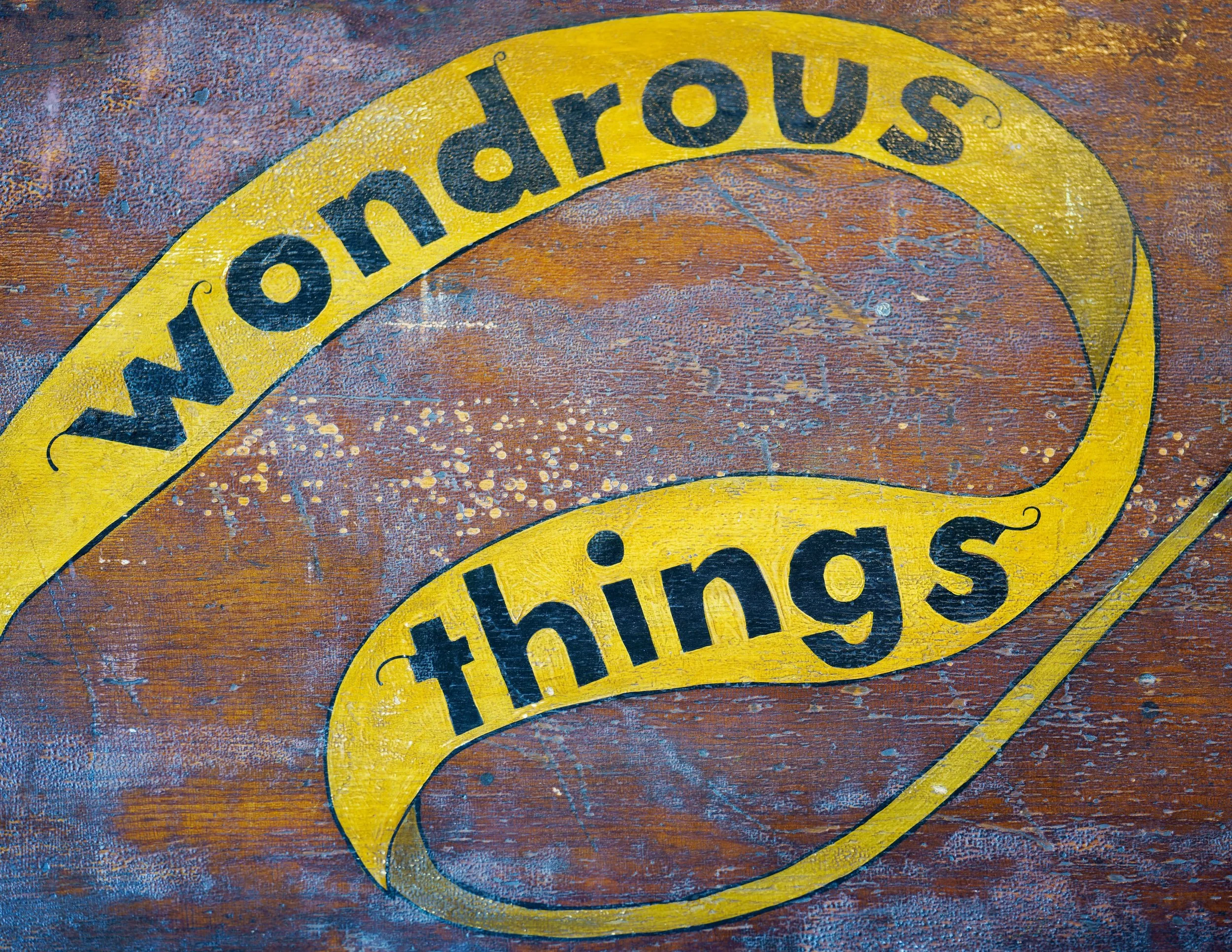 _DSC7899_Copyright_PSMS_sRGB_Relative_Wonderous Things.jpg