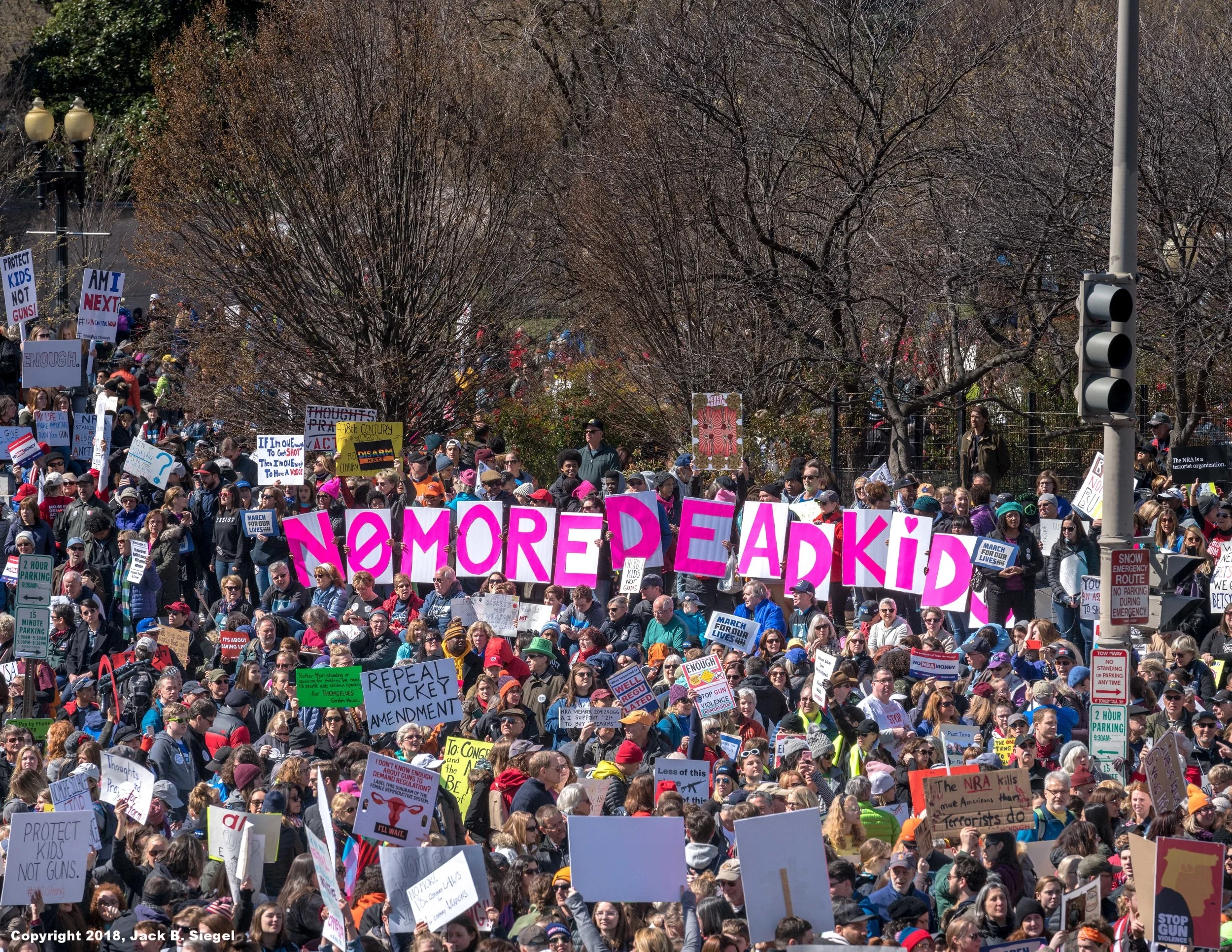 _DSC9386_Copyright_sRGB_Relative_No More Dead Kids.jpg