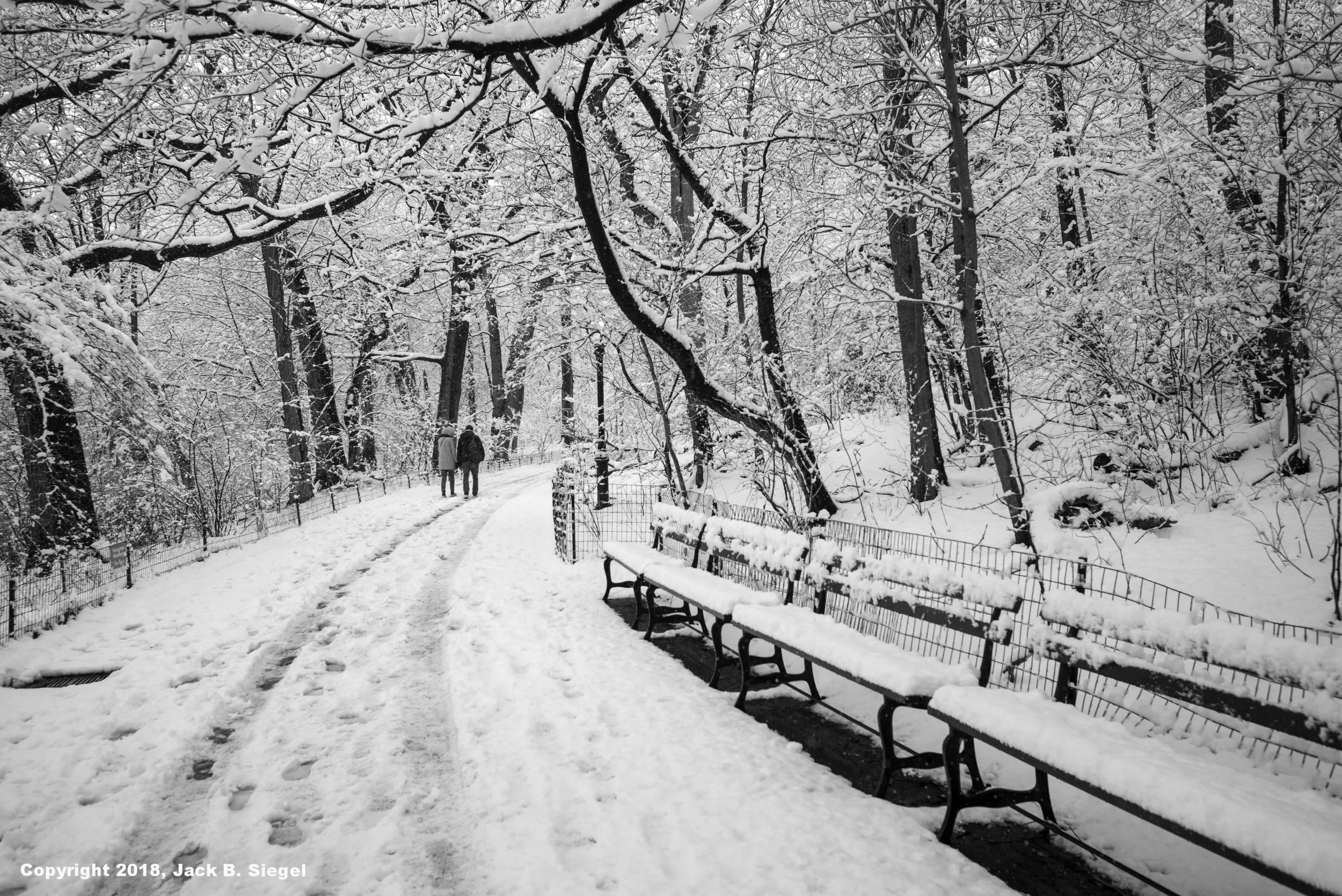 L1001423_Copyright_sRGB_Relative_A Walk in the Park.jpg