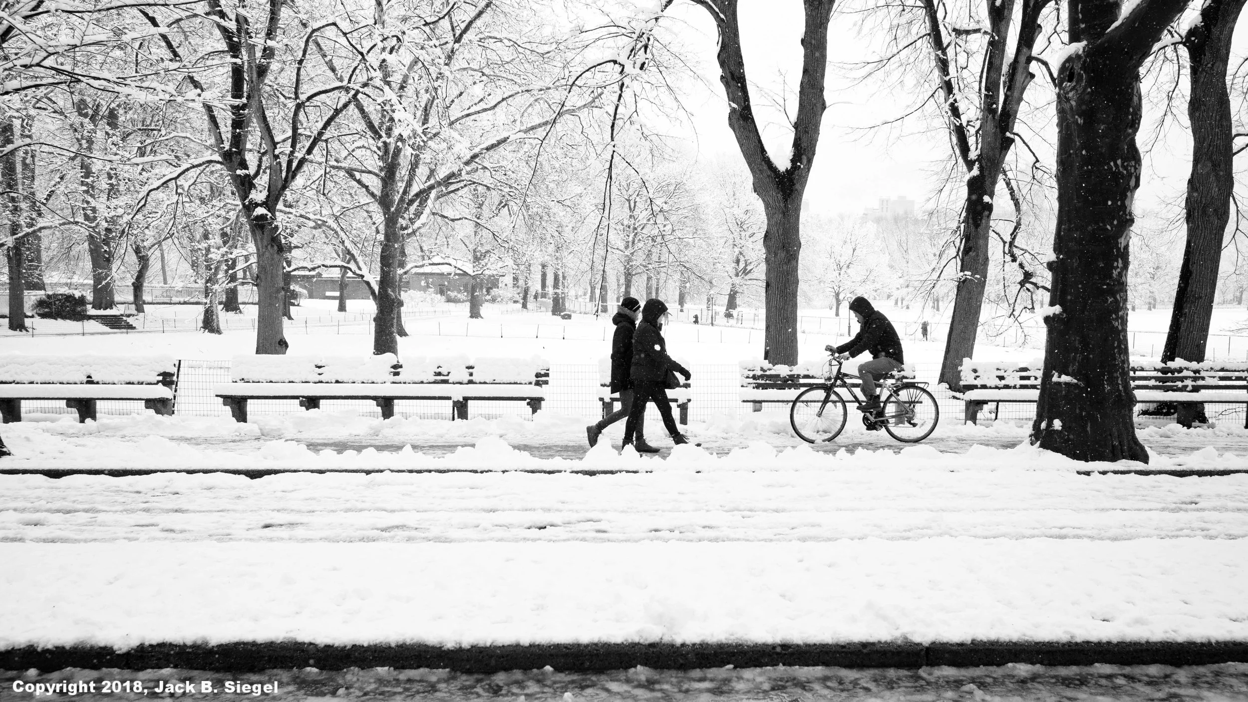 L1001485_Copyright_sRGB_Relative_Bike.jpg