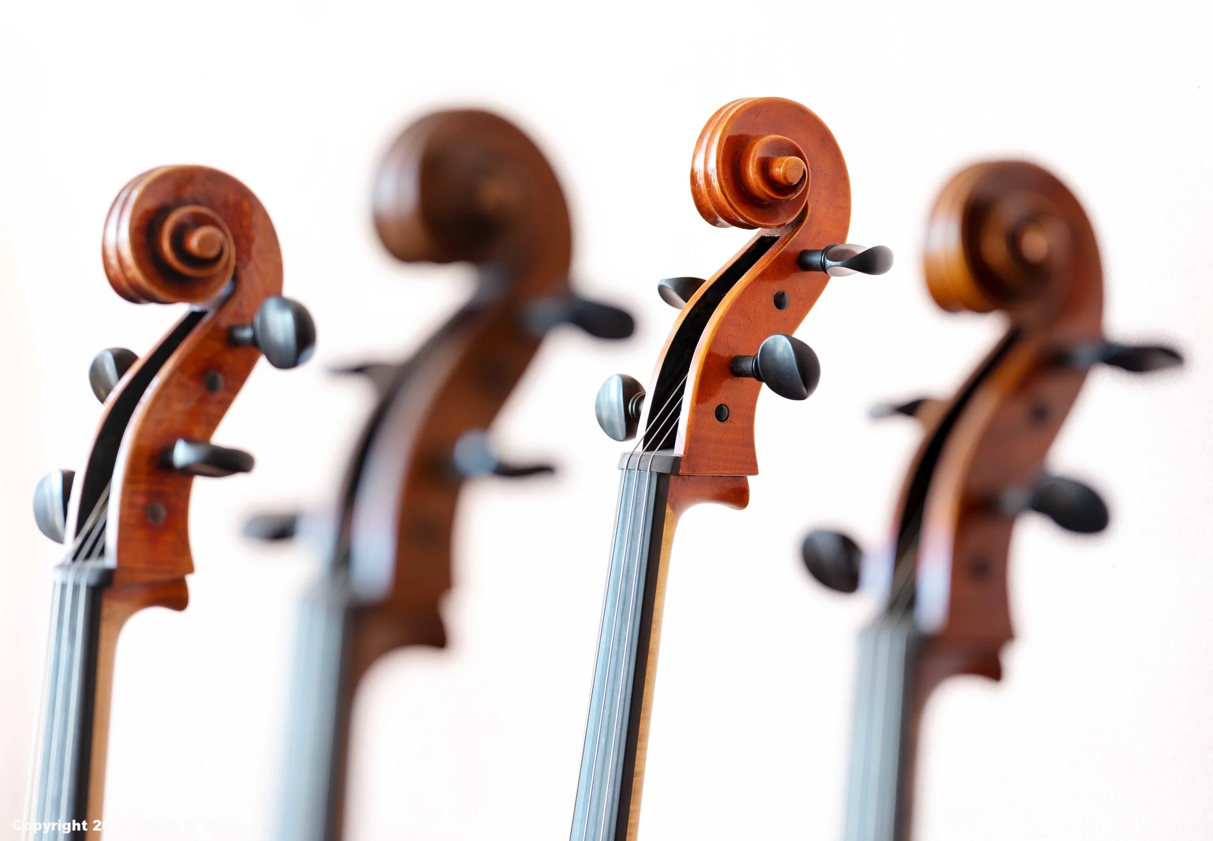 _DS20736_Copyright_sRGB_Relative_Four Cellos No Waiting.jpg