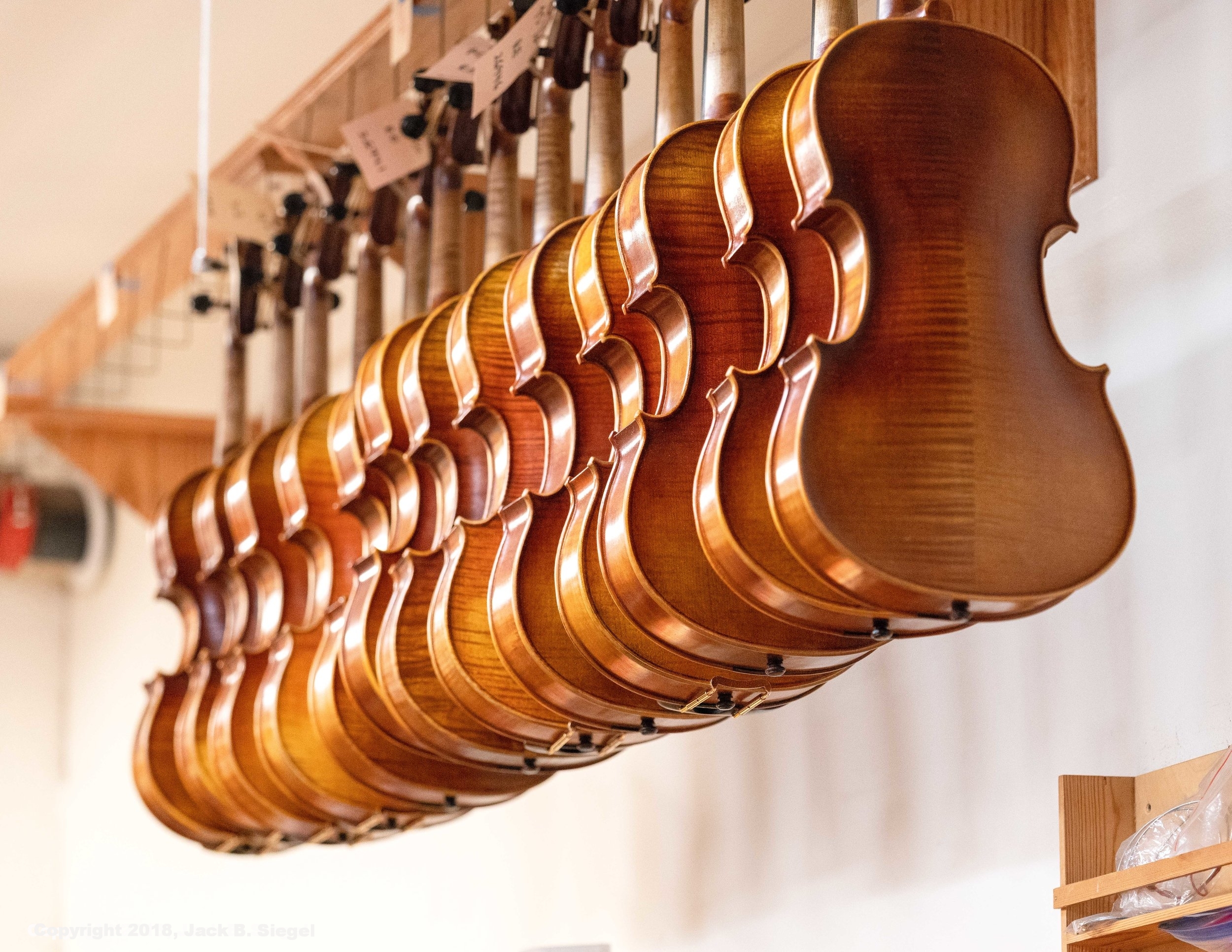 _DS20843_Copyright_sRGB_Relative_Hogs on the Hooks.jpg