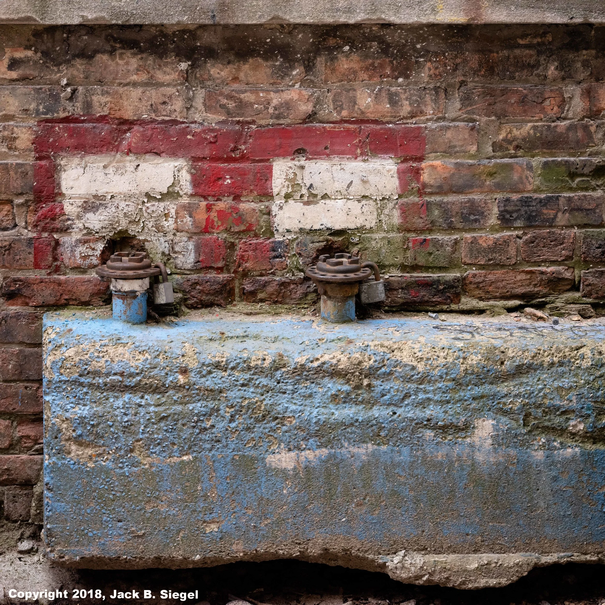 _DSF7689_Copyright_s_RGB_12_Relative_Rat Hiding Place.jpg