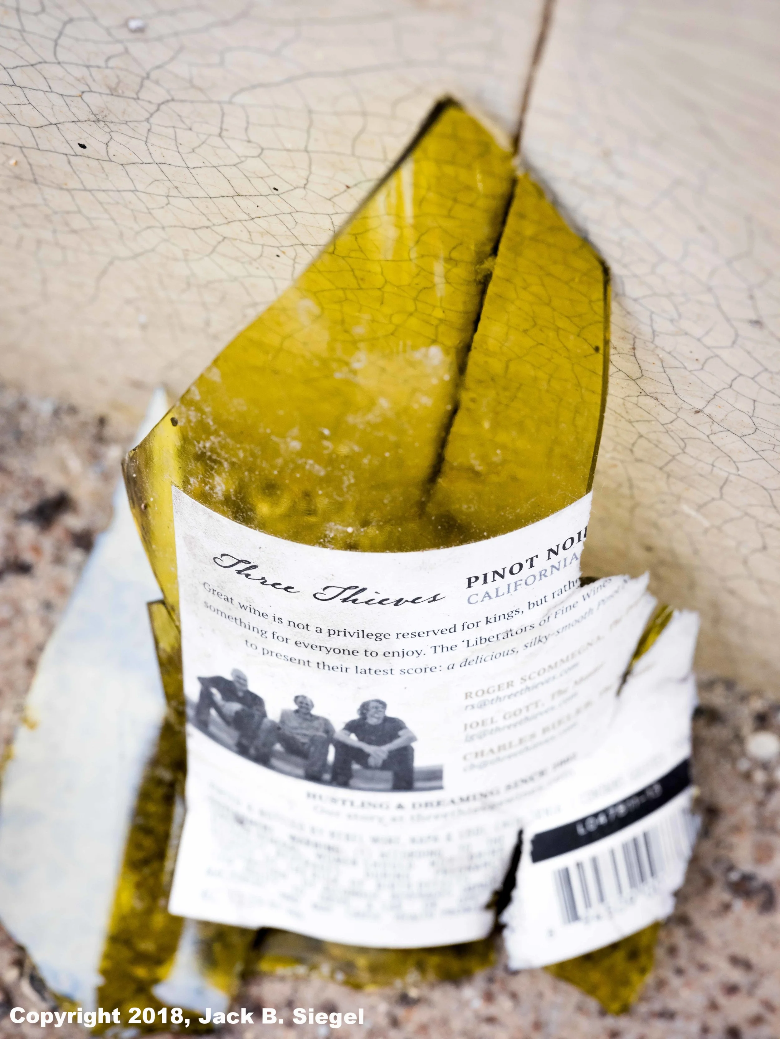 _DSF7600_Copyright__sRGB_Relative_Discarded.jpg