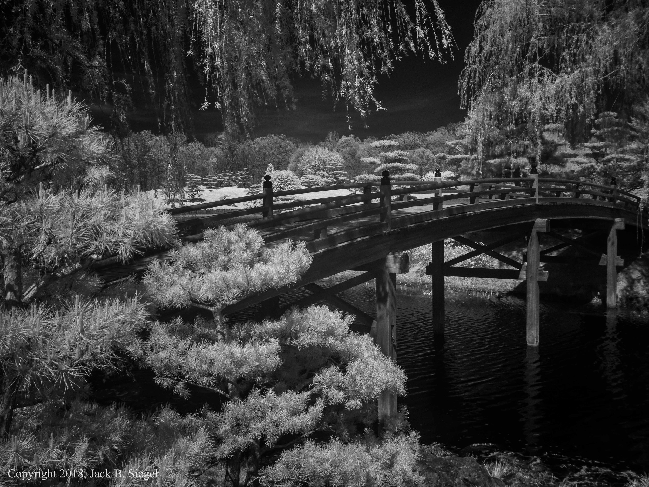 P1010287PS__Copyright_Bridge to the Japanese Garden.jpg
