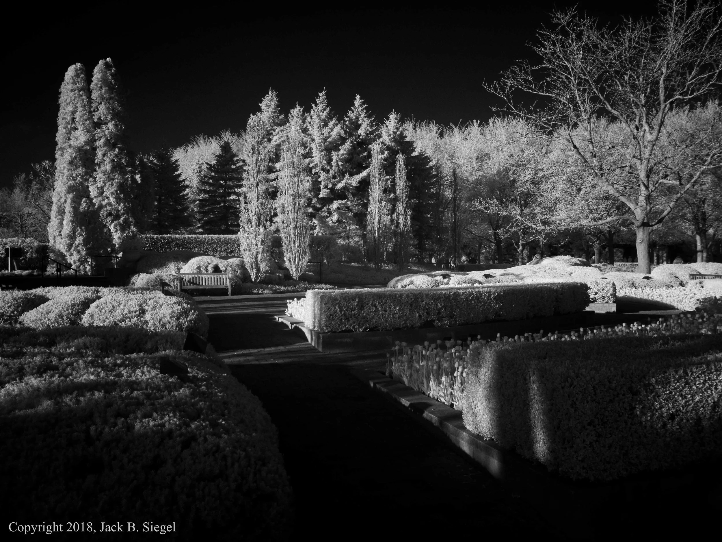 P1010001PS__Copyright_.jpg
