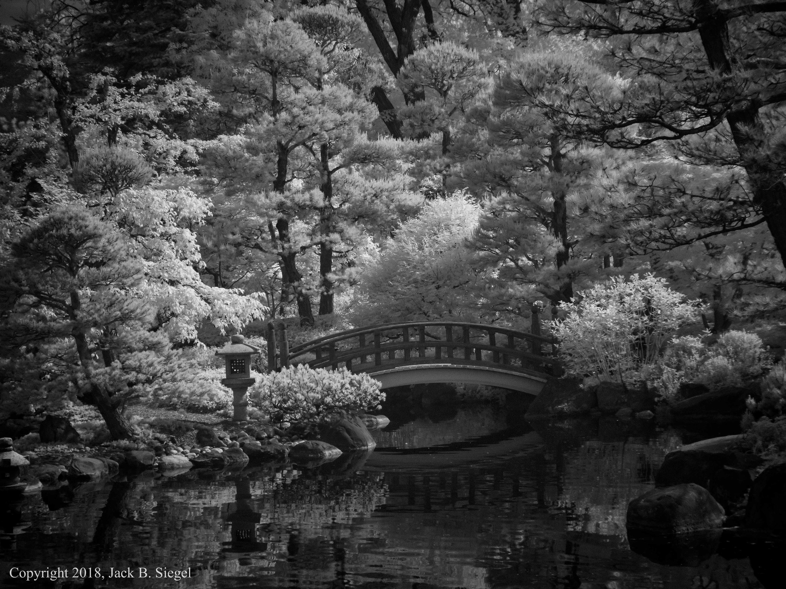 P1010047PS__Copyright_Another Dimension to a Small Bridge to a Nonexistant Island.jpg