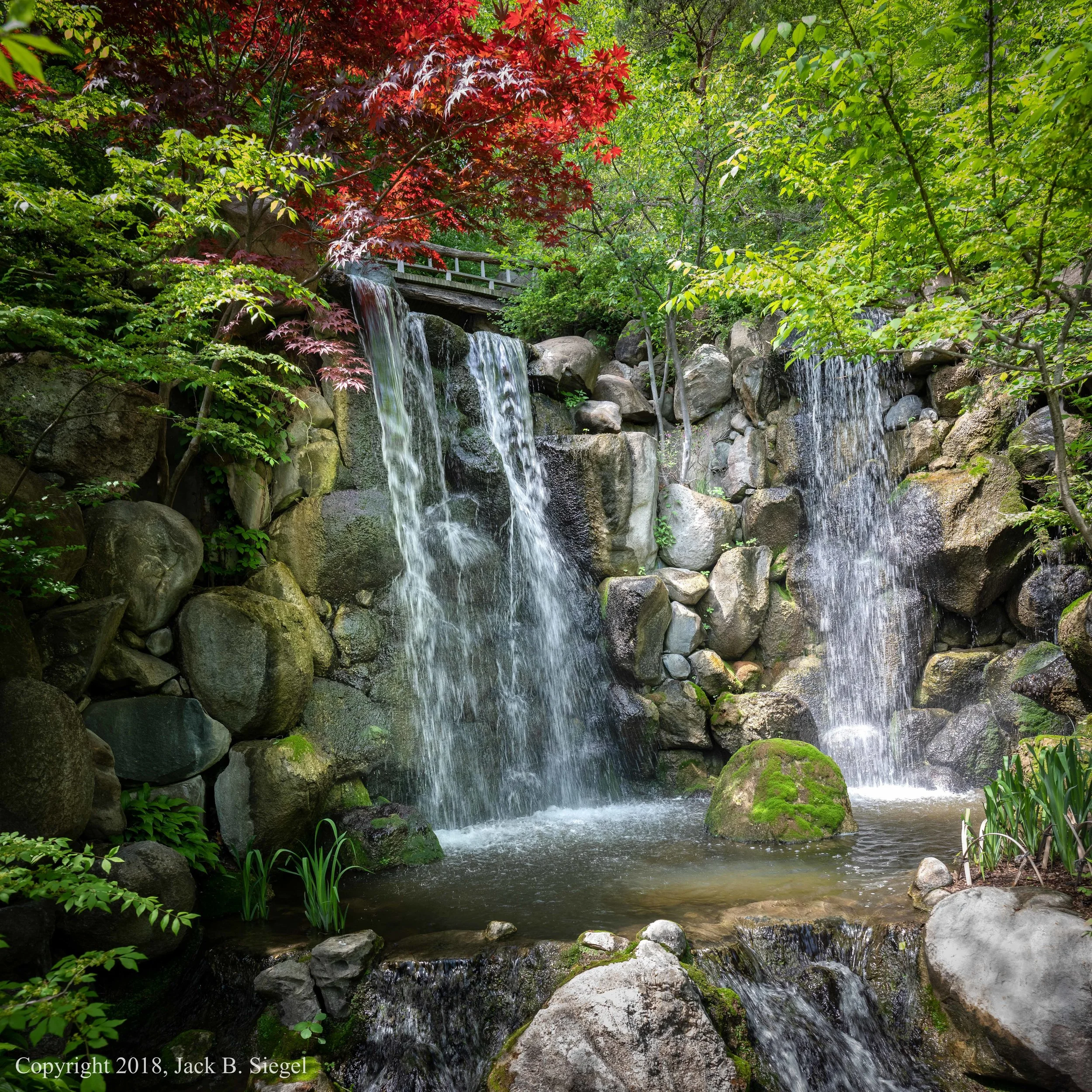 Hidden Delights