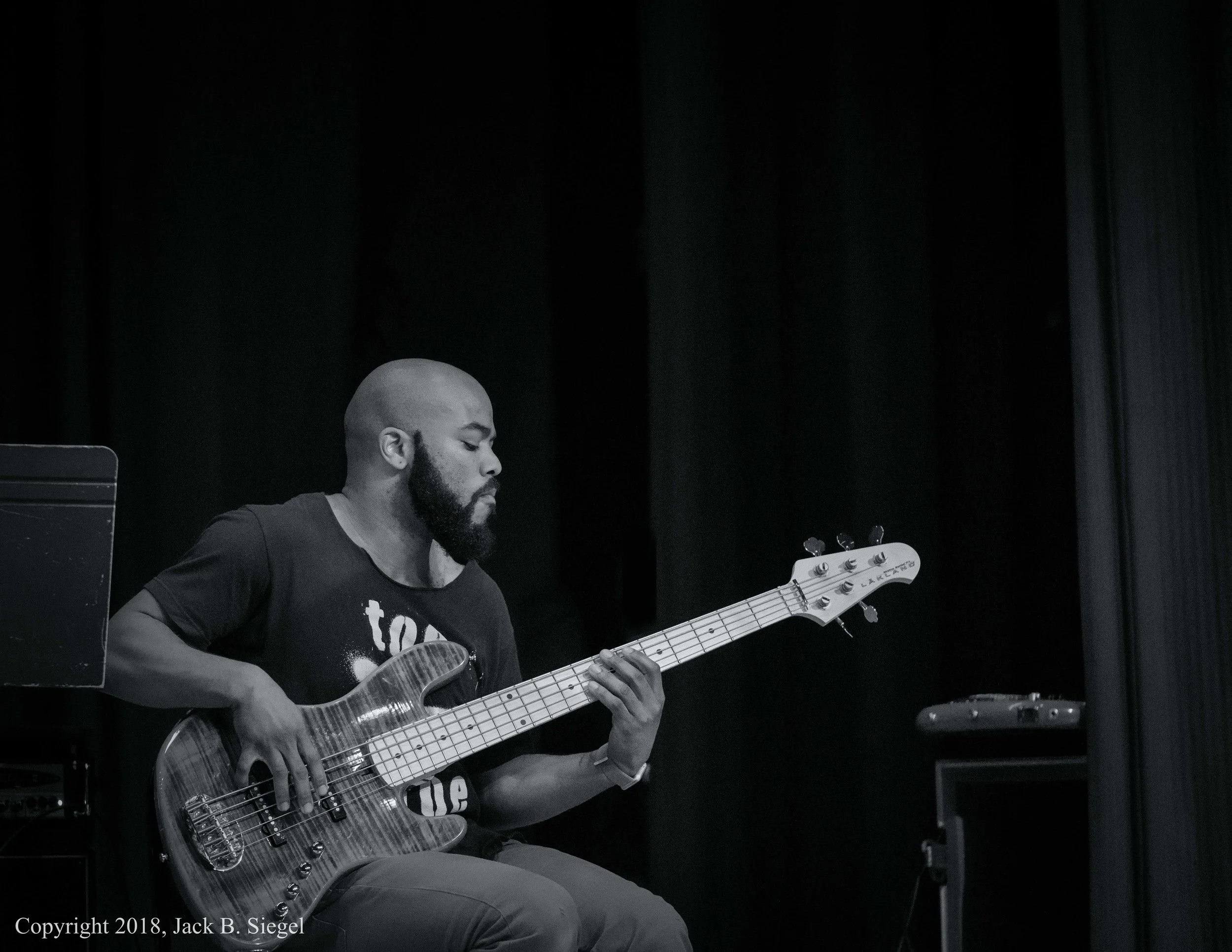 _DS24125PS__Copyright_Funk'in on Bass.jpg