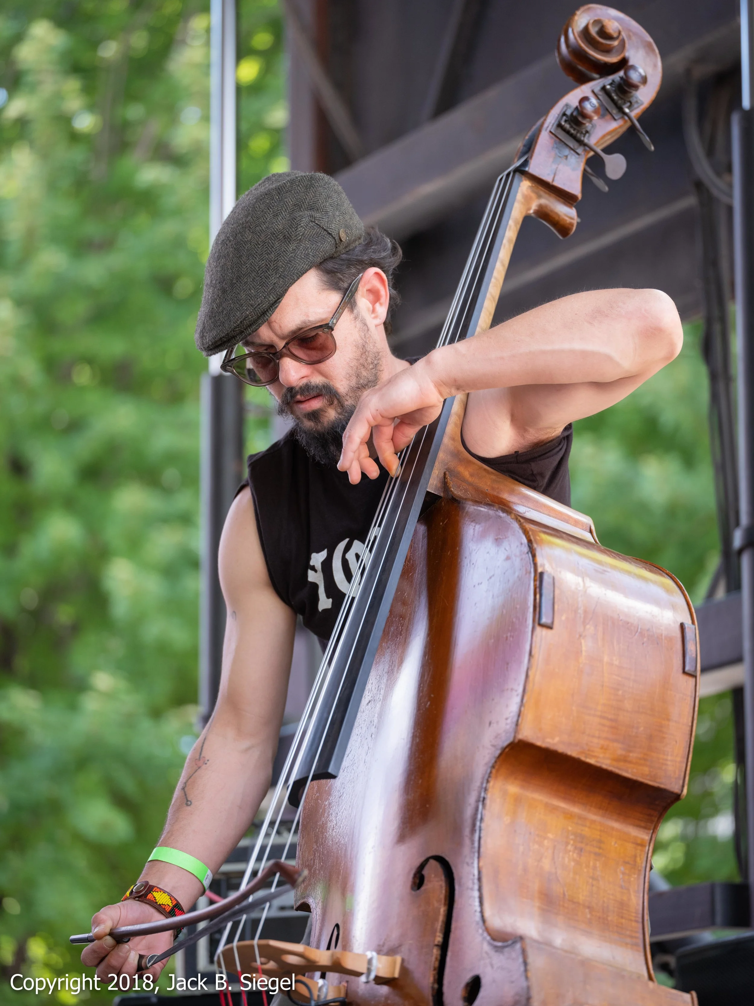 _DSF7968_Copyright 2018 jpeg_Jason Ajemain Applies the Bow to His Bass as he Flies Rather Than Dies.jpg