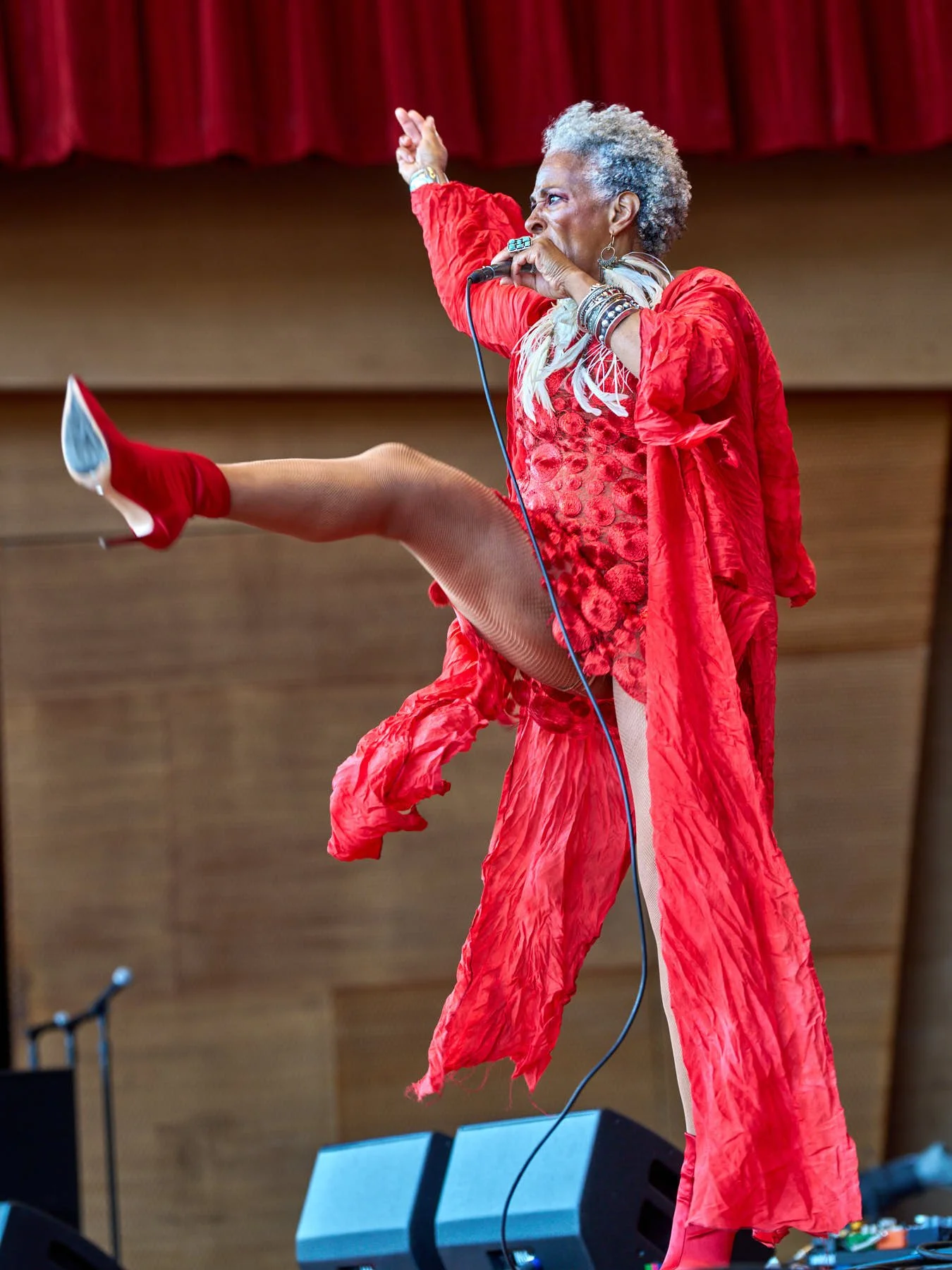 Chicago Bluesfest--Day 2