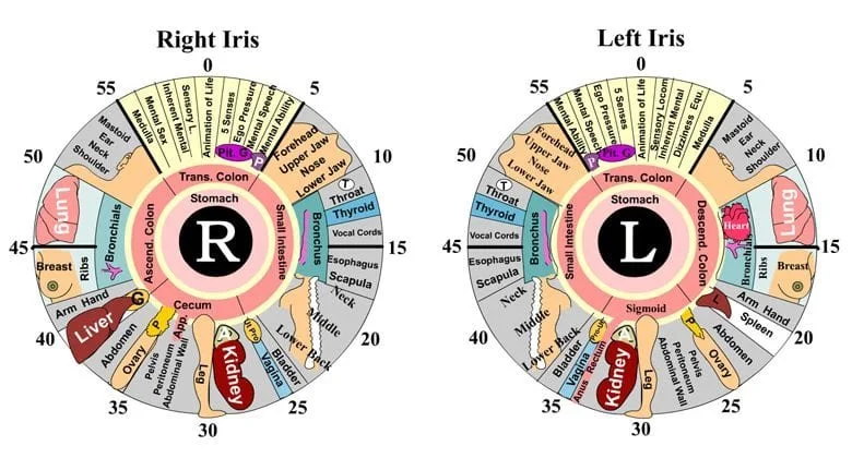 iridology_eye_chart_0-3.jpg