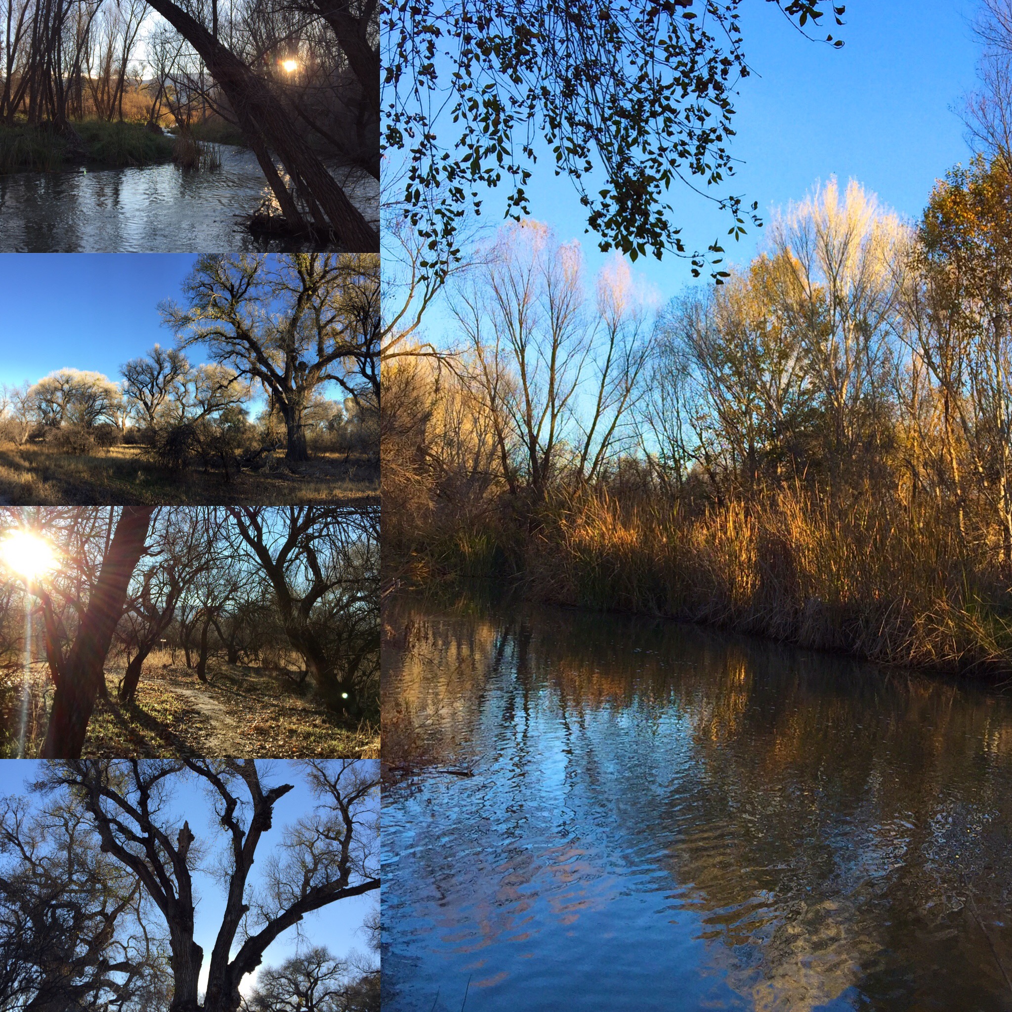 Sun water trees. No words sufficient.