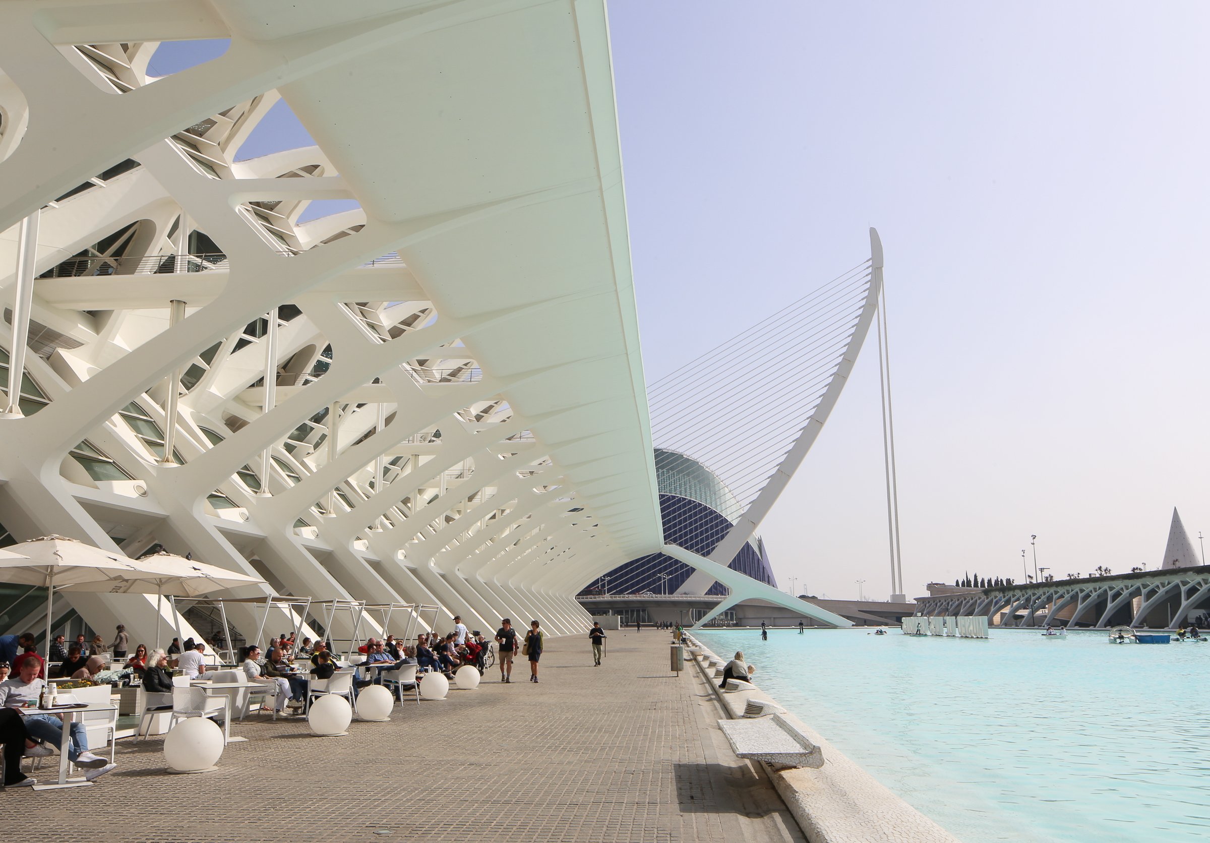 Museo de les Ciencies, L'Àgora, &amp; Assut de l'Or Bridge