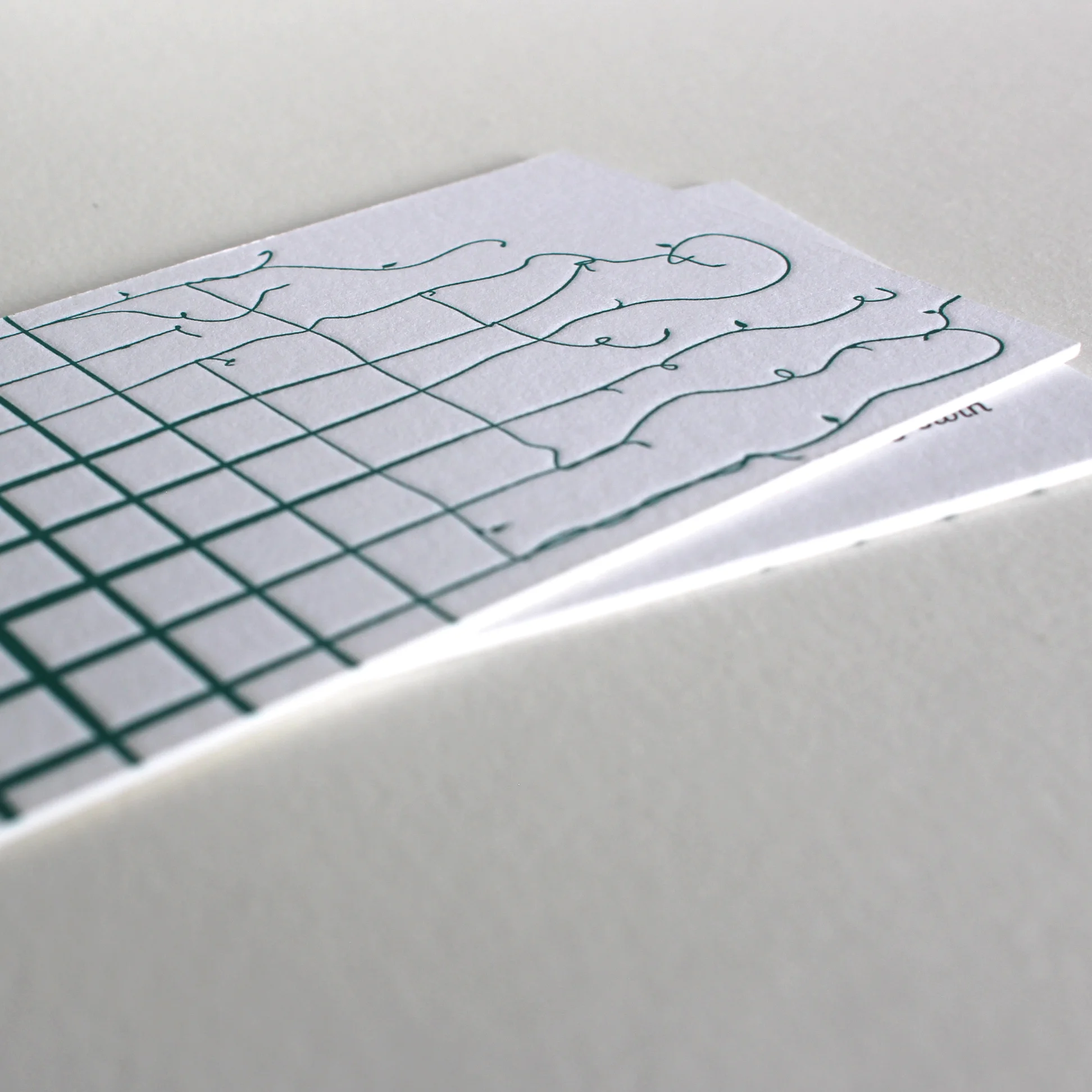 Severne & Associates Ltd – Business Card