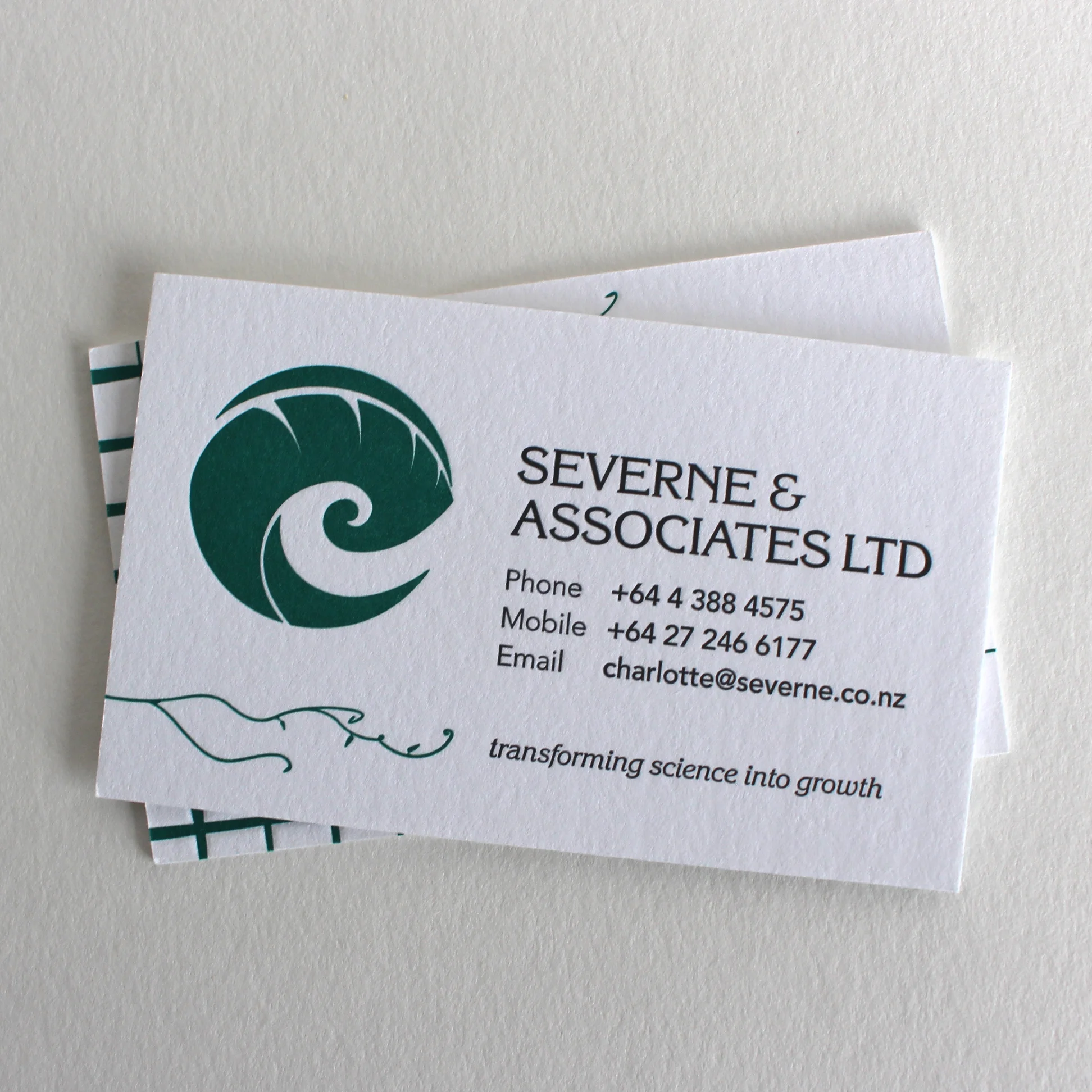 Severne & Associates Ltd – Business Card