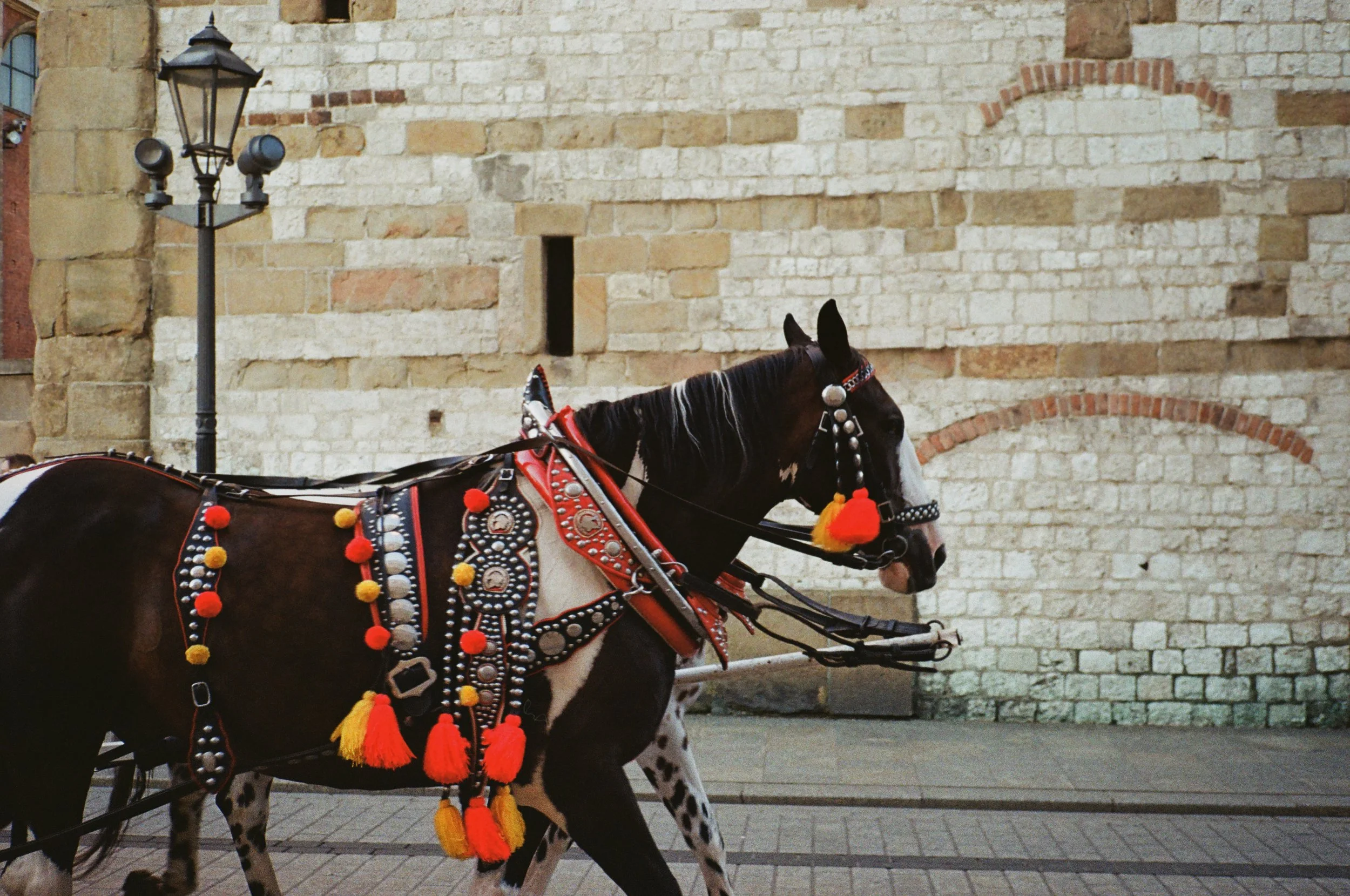 0020_### (3)b.jpg