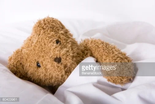 gospel of singleness