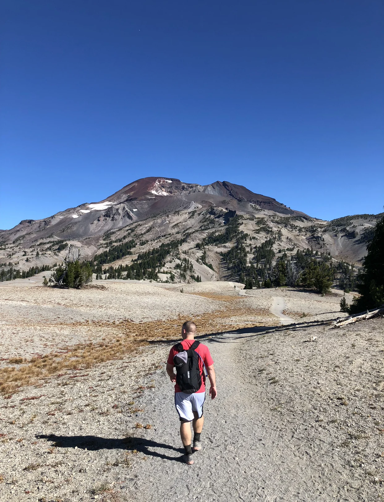 the struggle is real