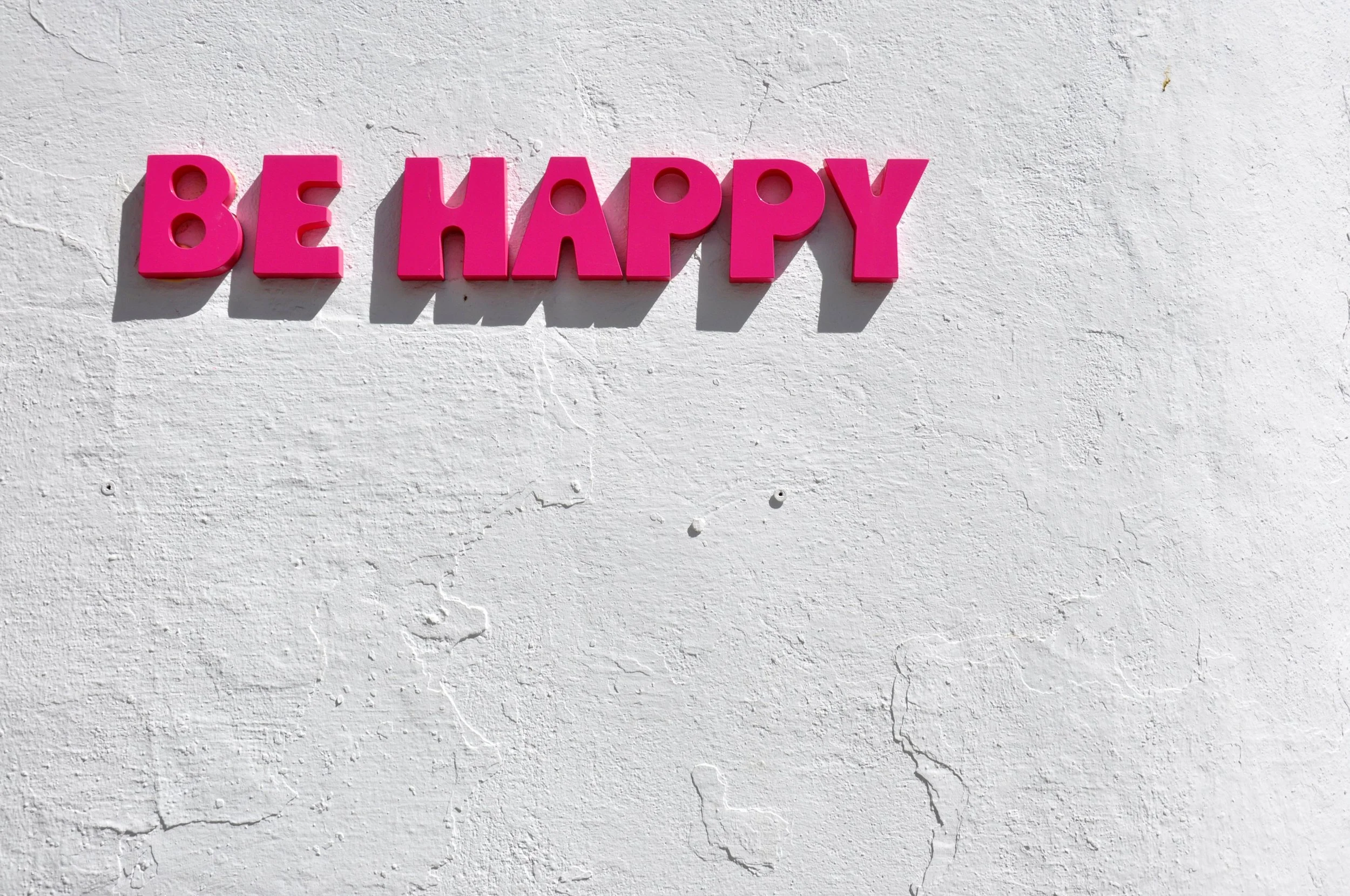 What Makes You Happy?