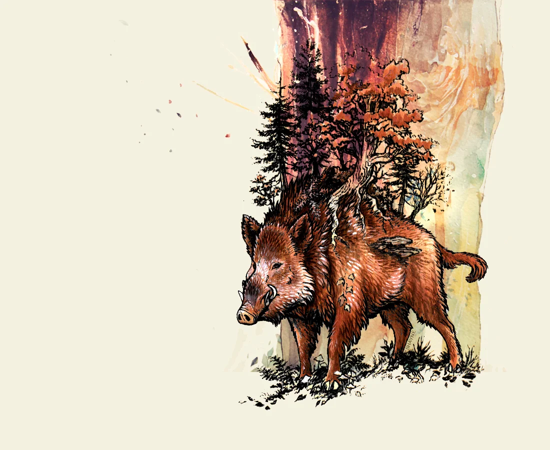 treeboar.jpg