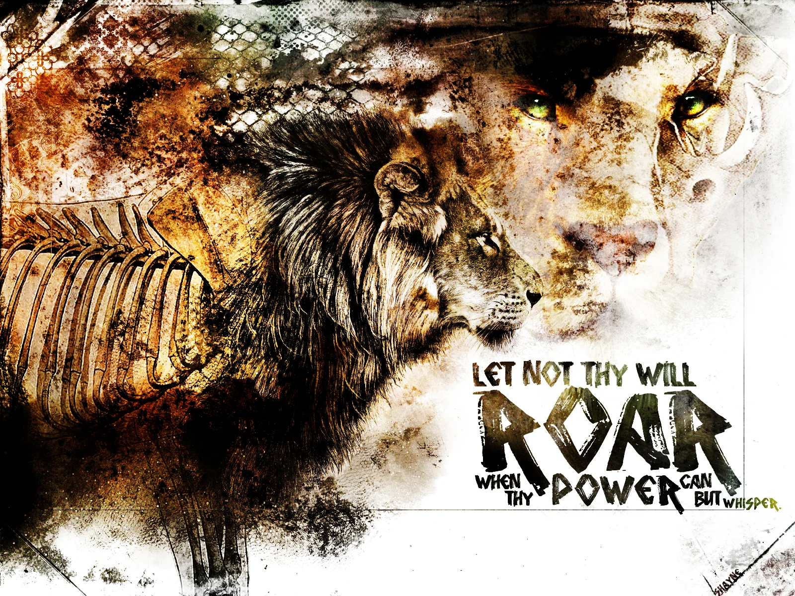 Silent Roar.jpg