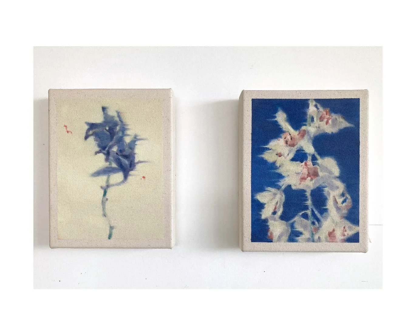 Ichirin II (Cymbidium #01) on the left
Ichirin II (Cymbidium #02) on the right
Oil on canvas, 8x6&nbsp;"

shown @art_toronto with @wishboneartgallery 

These flowers, once rejected by a shop, now speak of more than beauty as products &mdash; the