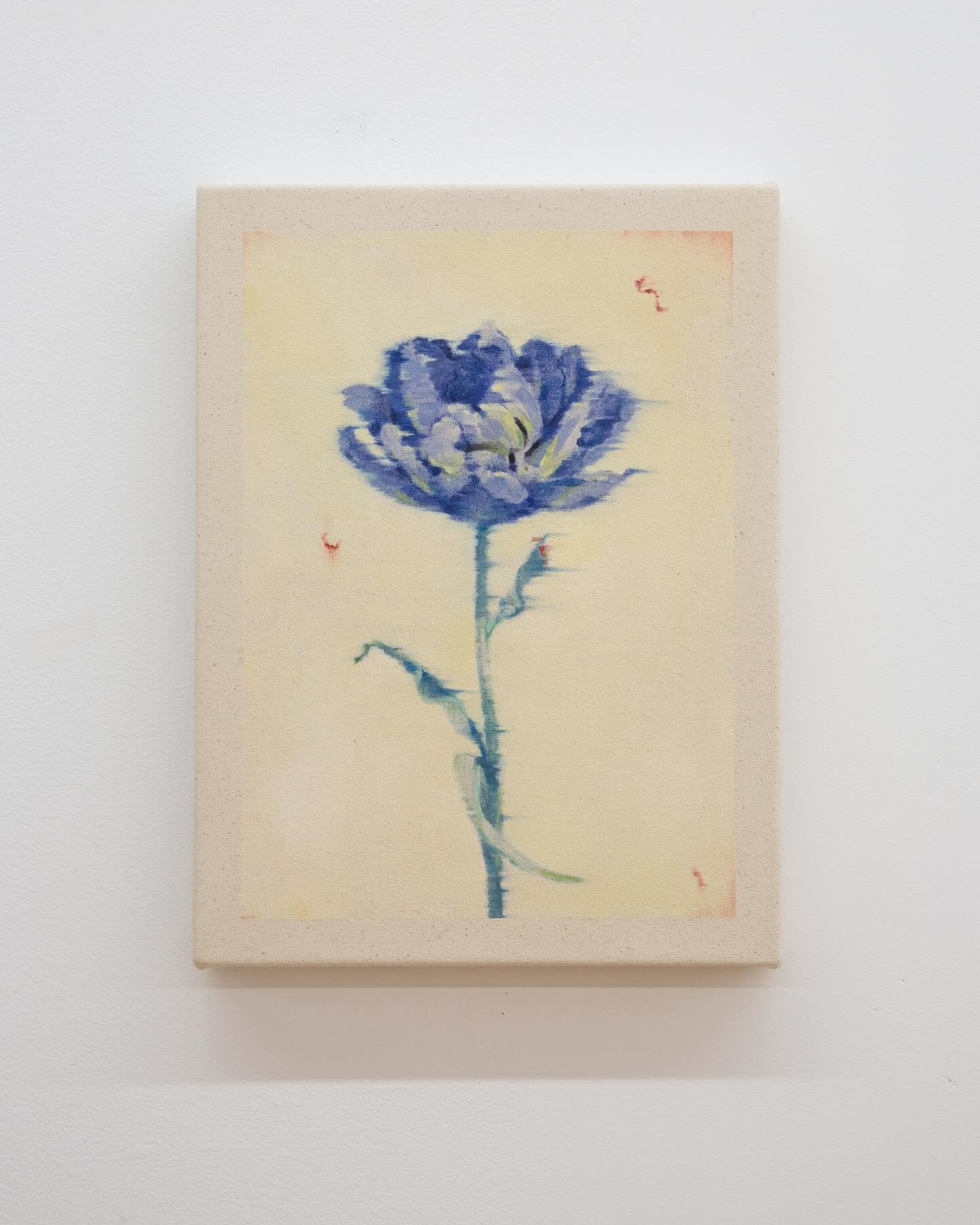 Ichirin lV (tulip #02) 2025
12x16"
Oil on canvas 

Available @wishboneartgallery 
1-2 : 📸 by  @wishboneartgallery 
2-3 : close up shots