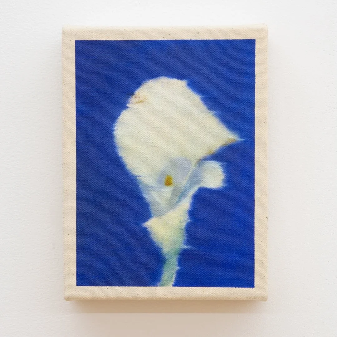 Series Ichirin : Calla lily and Lisianthus 
2025
6x8"
Oil on canvas 

Painting a single flower (Ichirin) rejected by the shop emphasizes the beauty and solitude of one bloom, capturing a fleeting moment in time.

Available @wishboneartgallery 
1